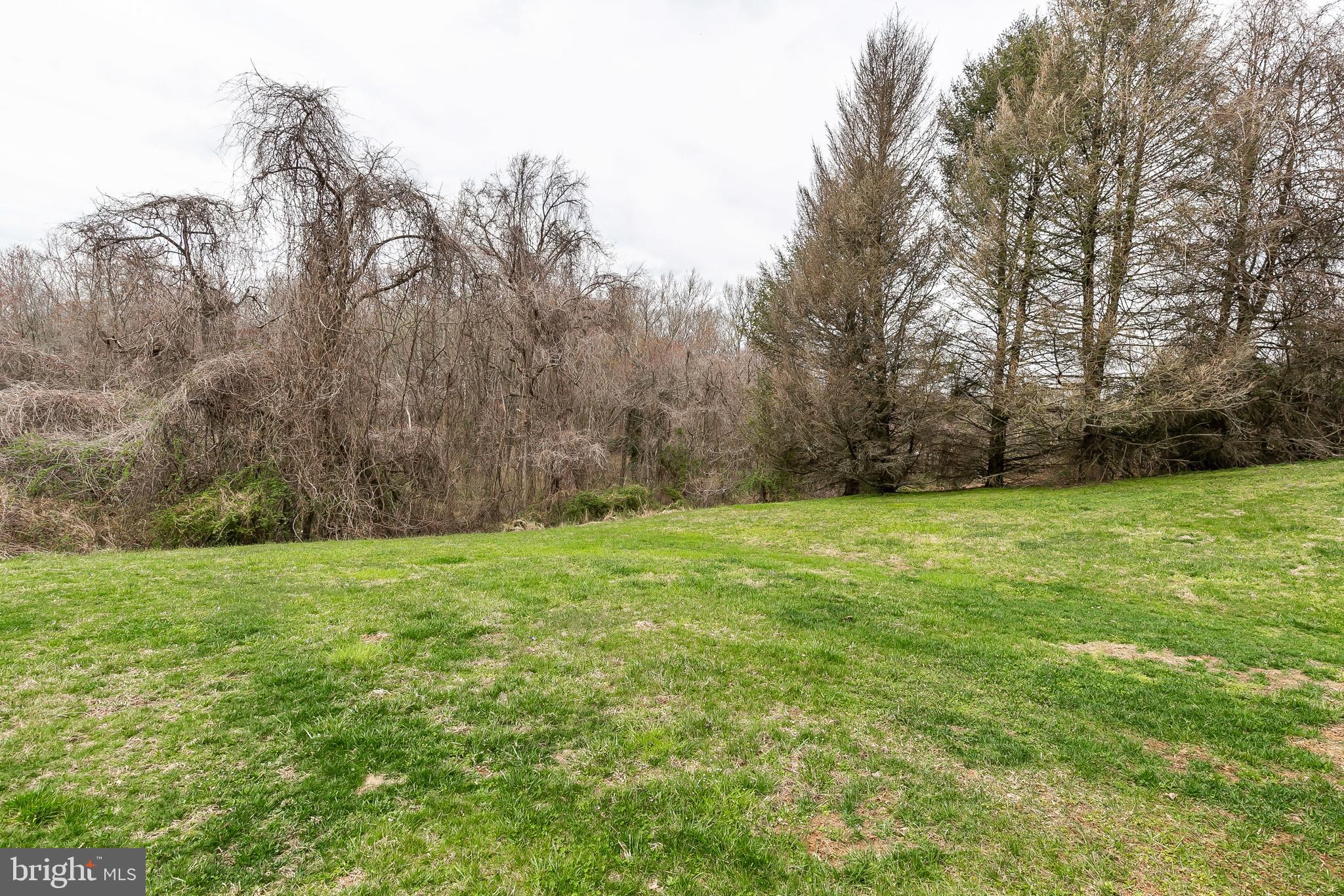 CONSTANT FRIENDSHIP - Residential