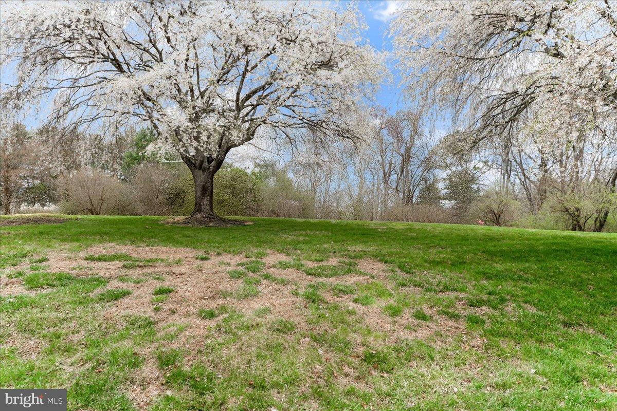 KNOXLYN FARM - Residential