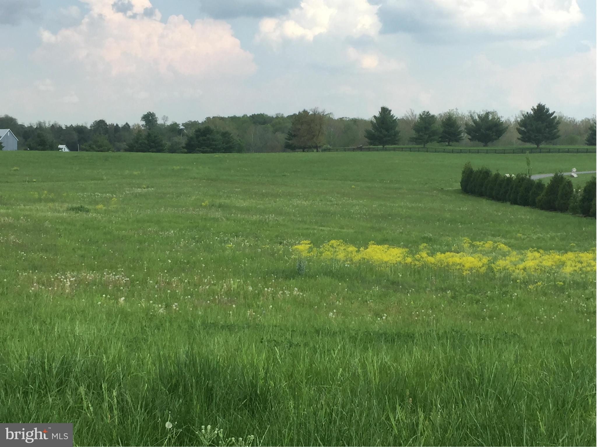 BROOKSIDE ESTATES - Land