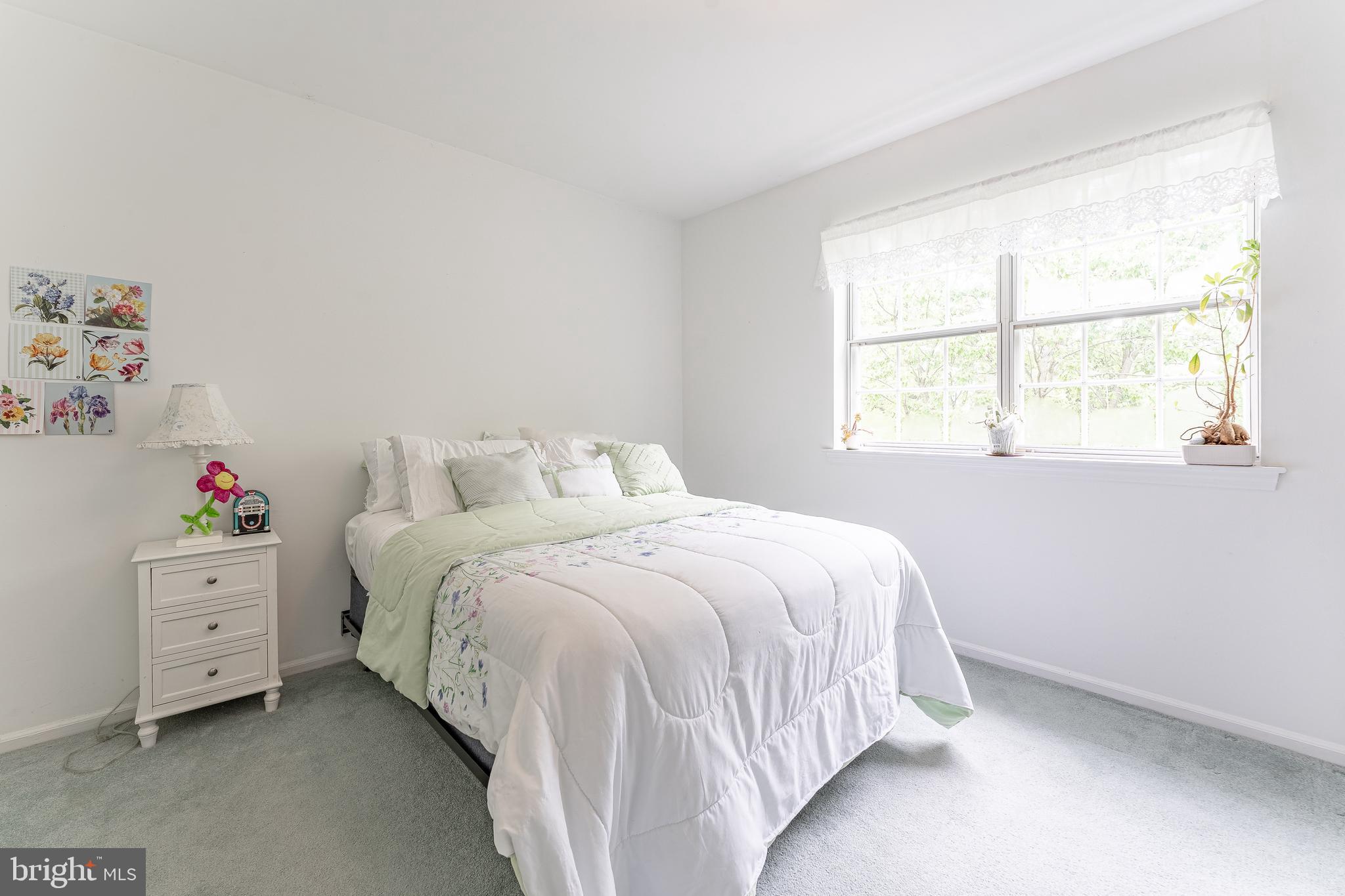 GOSHEN DOWNS - Residential