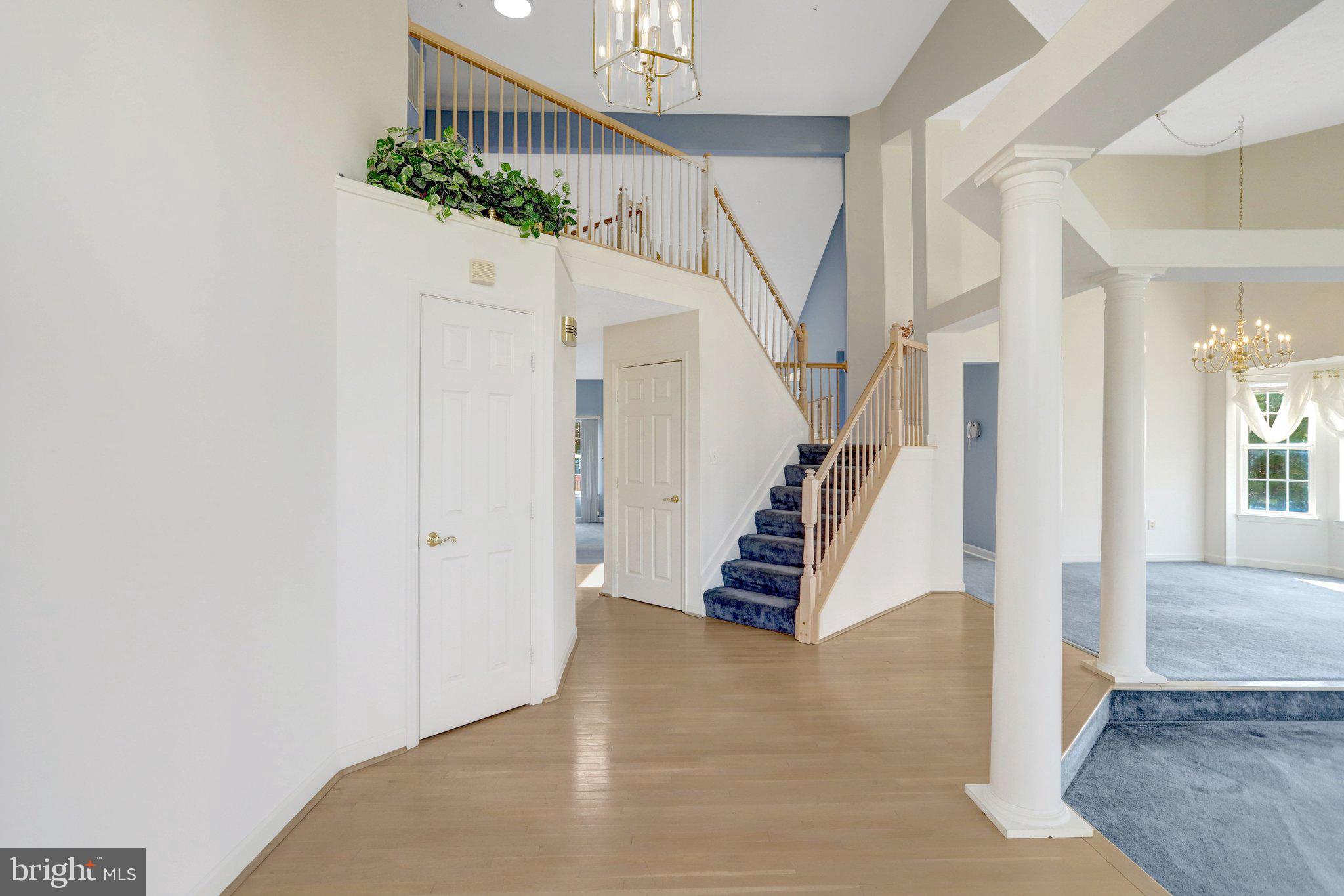 1407 ARAGONA BOULEVARD