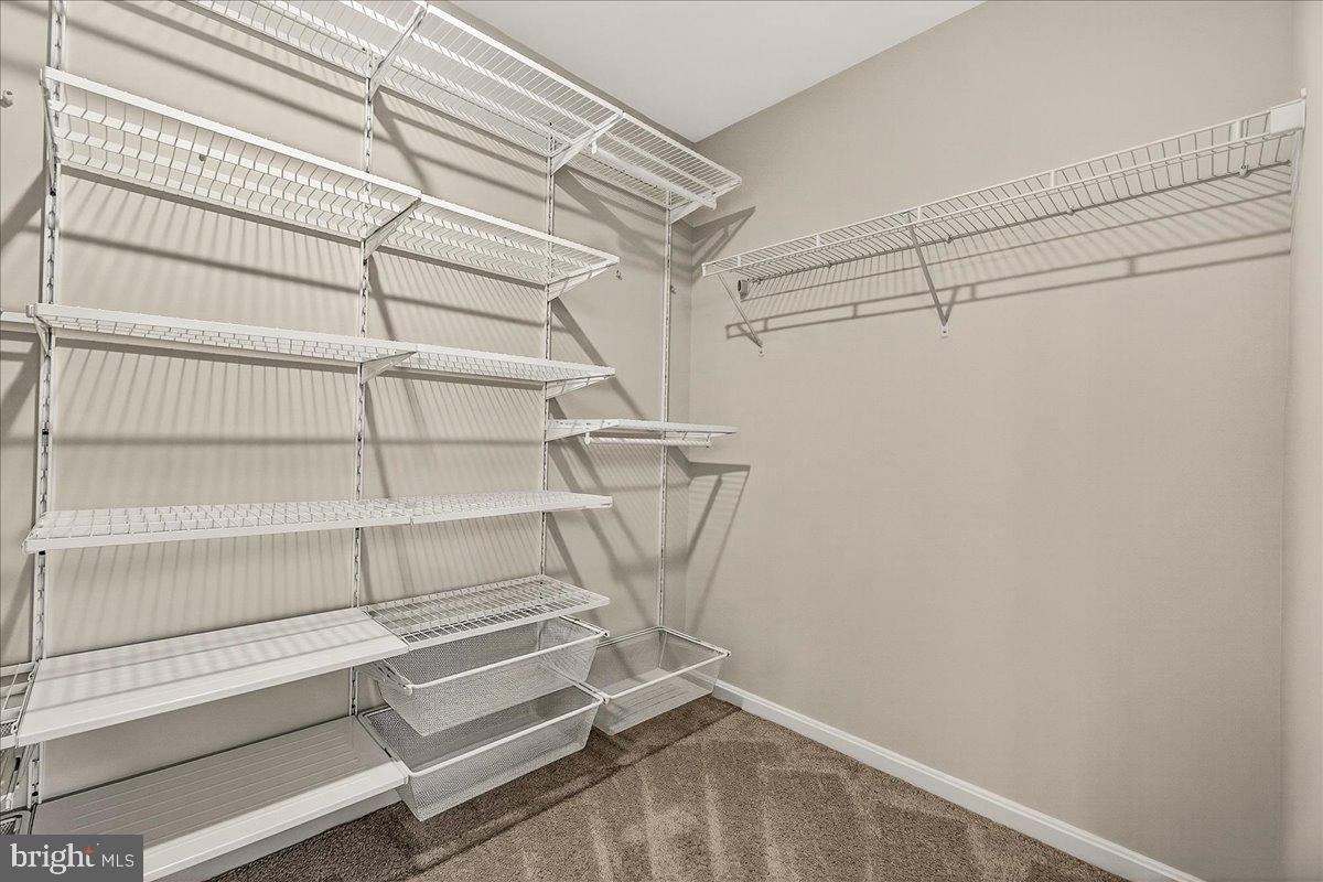 THE PRESERVE AT LONG BRANCH - Residential