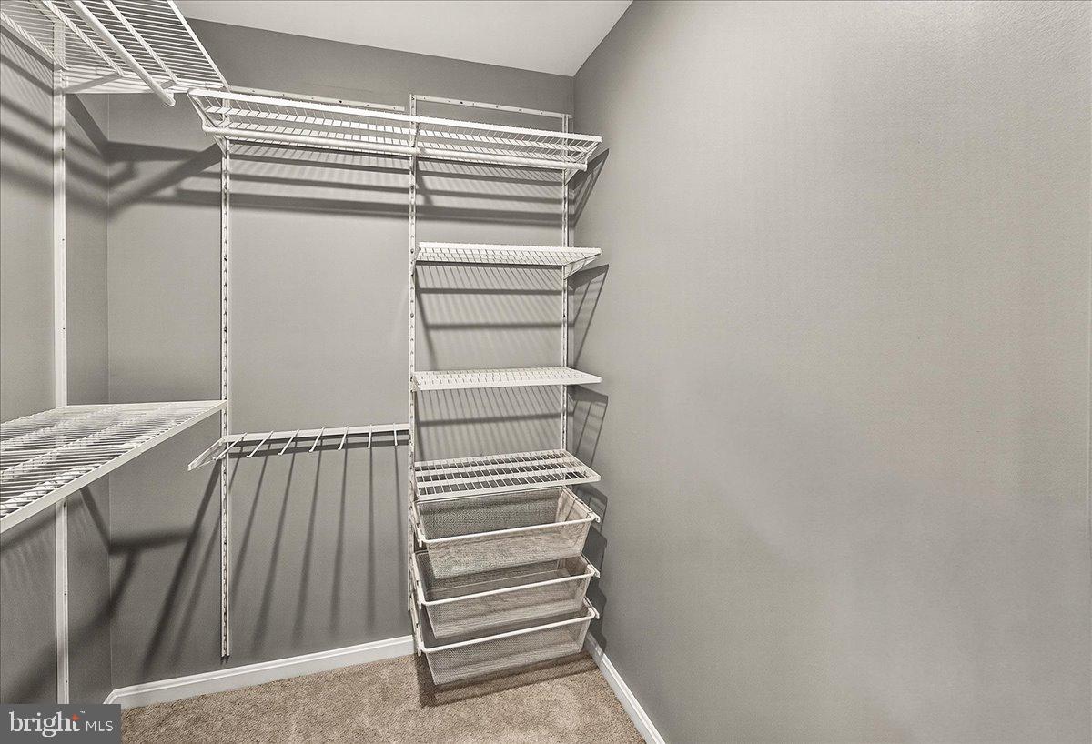 THE PRESERVE AT LONG BRANCH - Residential