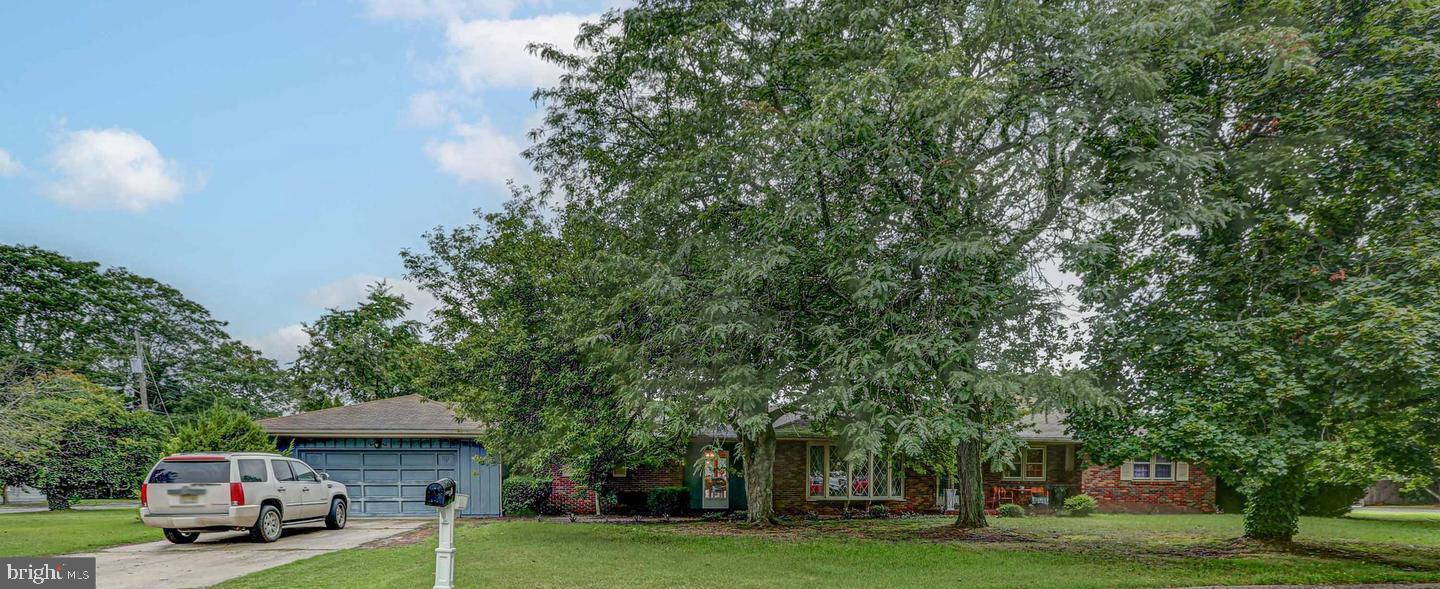 28 CEDARWOOD