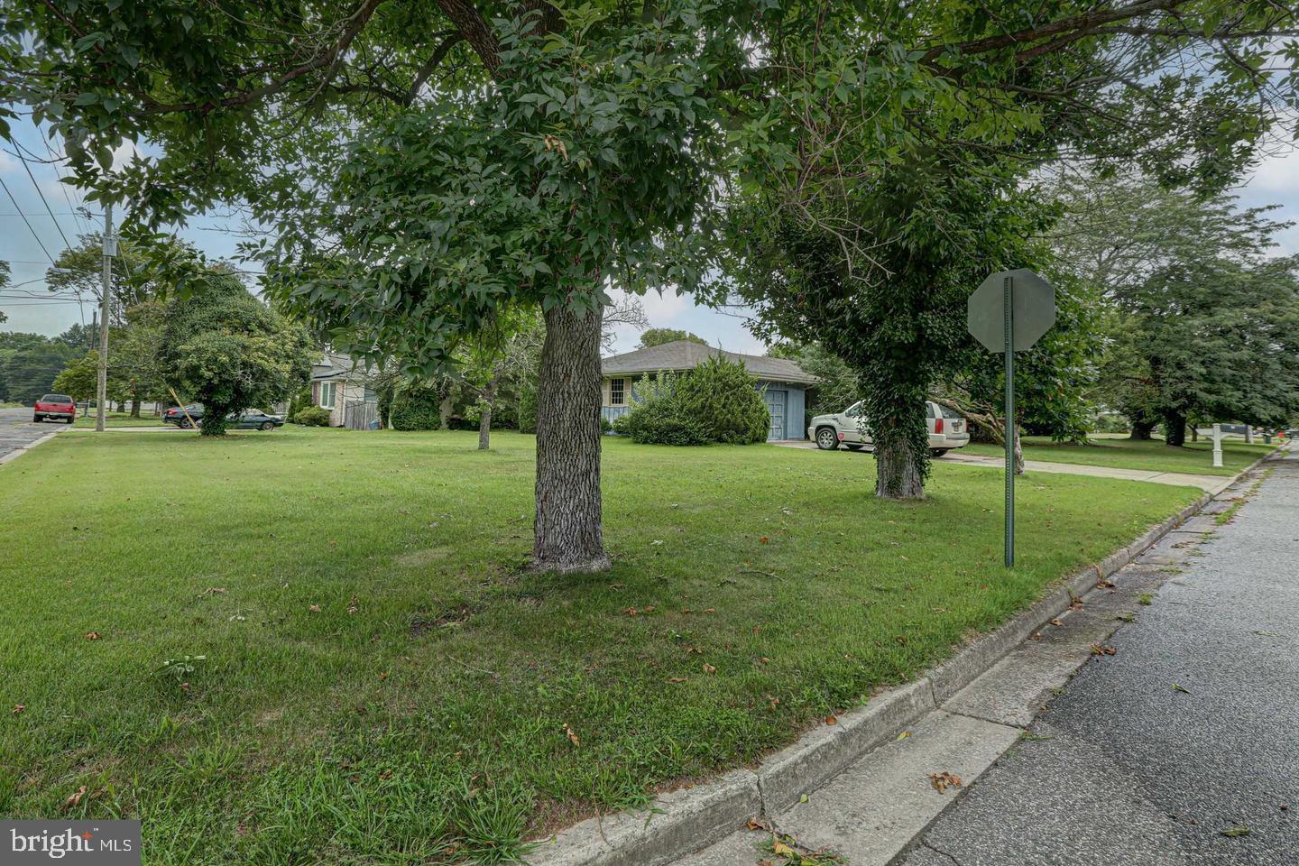28 CEDARWOOD