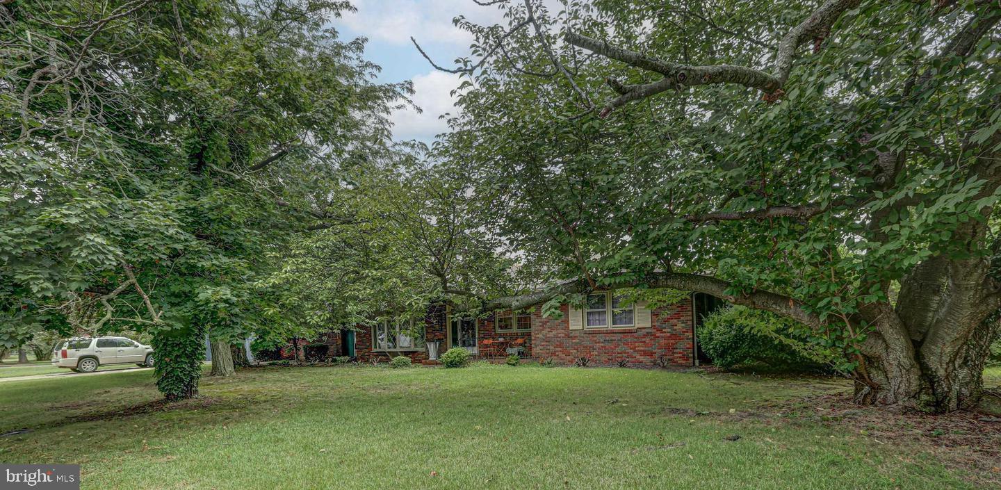 28 CEDARWOOD