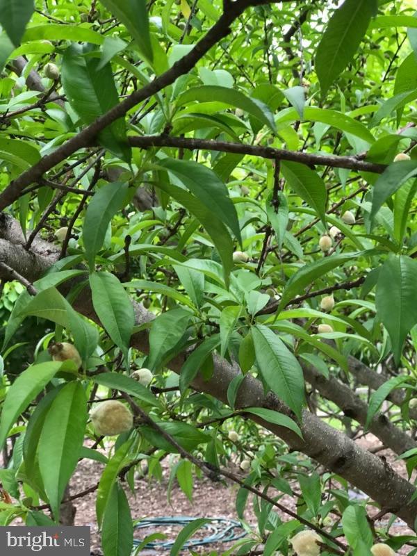 CREAMERY HILL - Residential