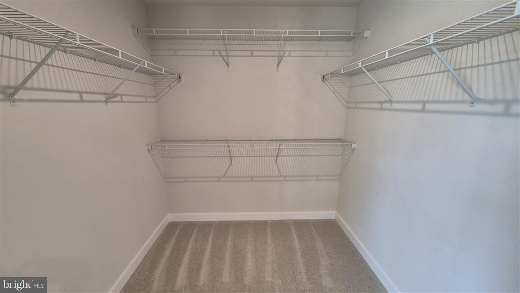 SYCAMORE RIDGE - Residential