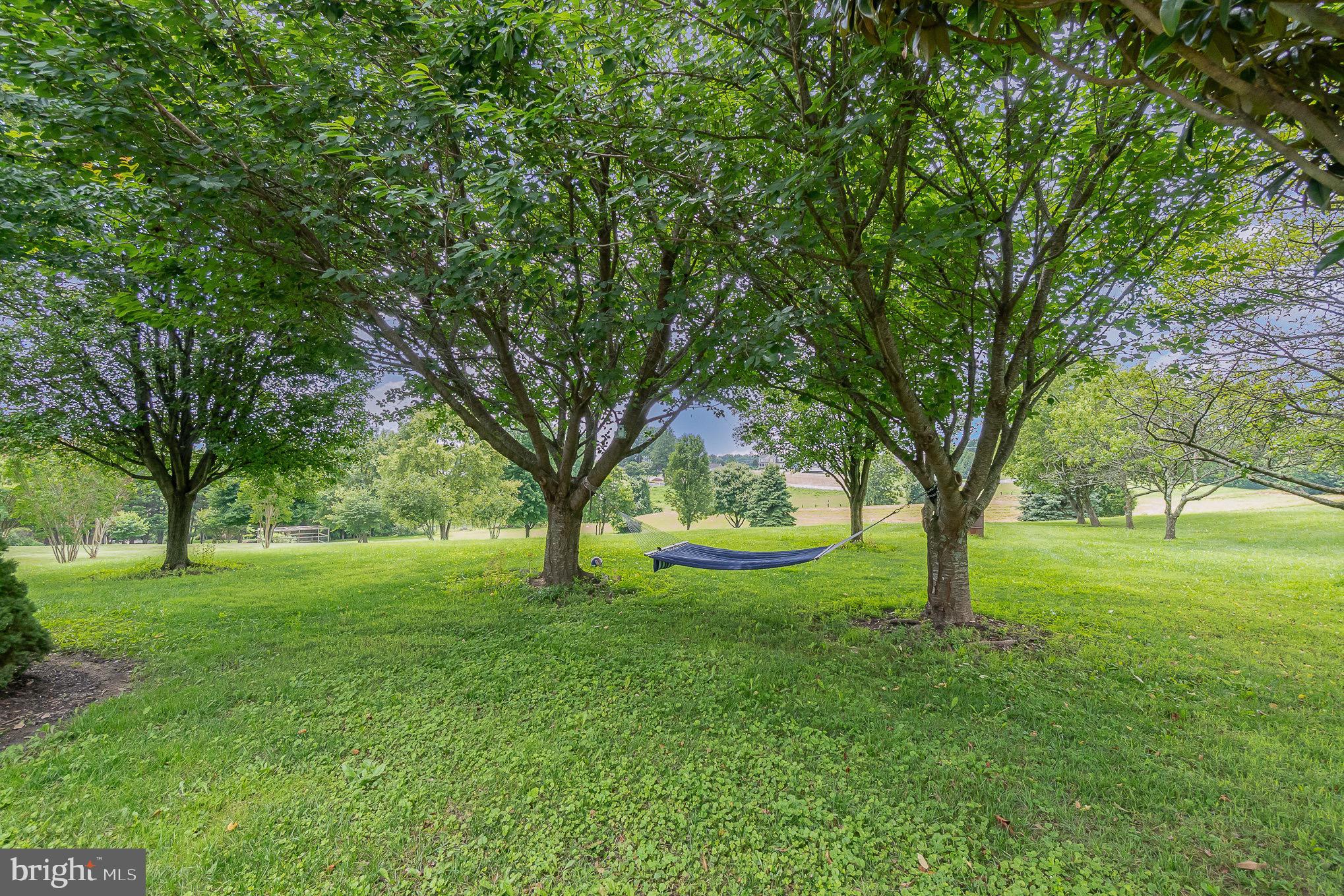 CENTENNIAL OAKS - Residential