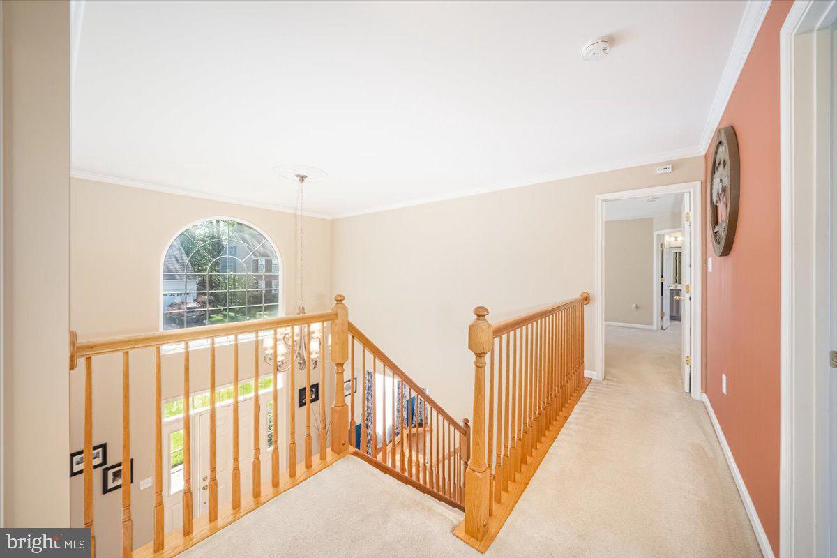 WINDING RIDGE - Residential