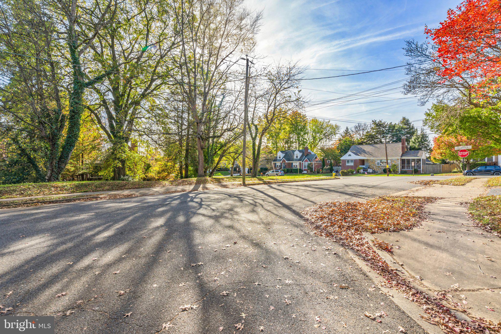 OVER LEE KNOLLS - Land