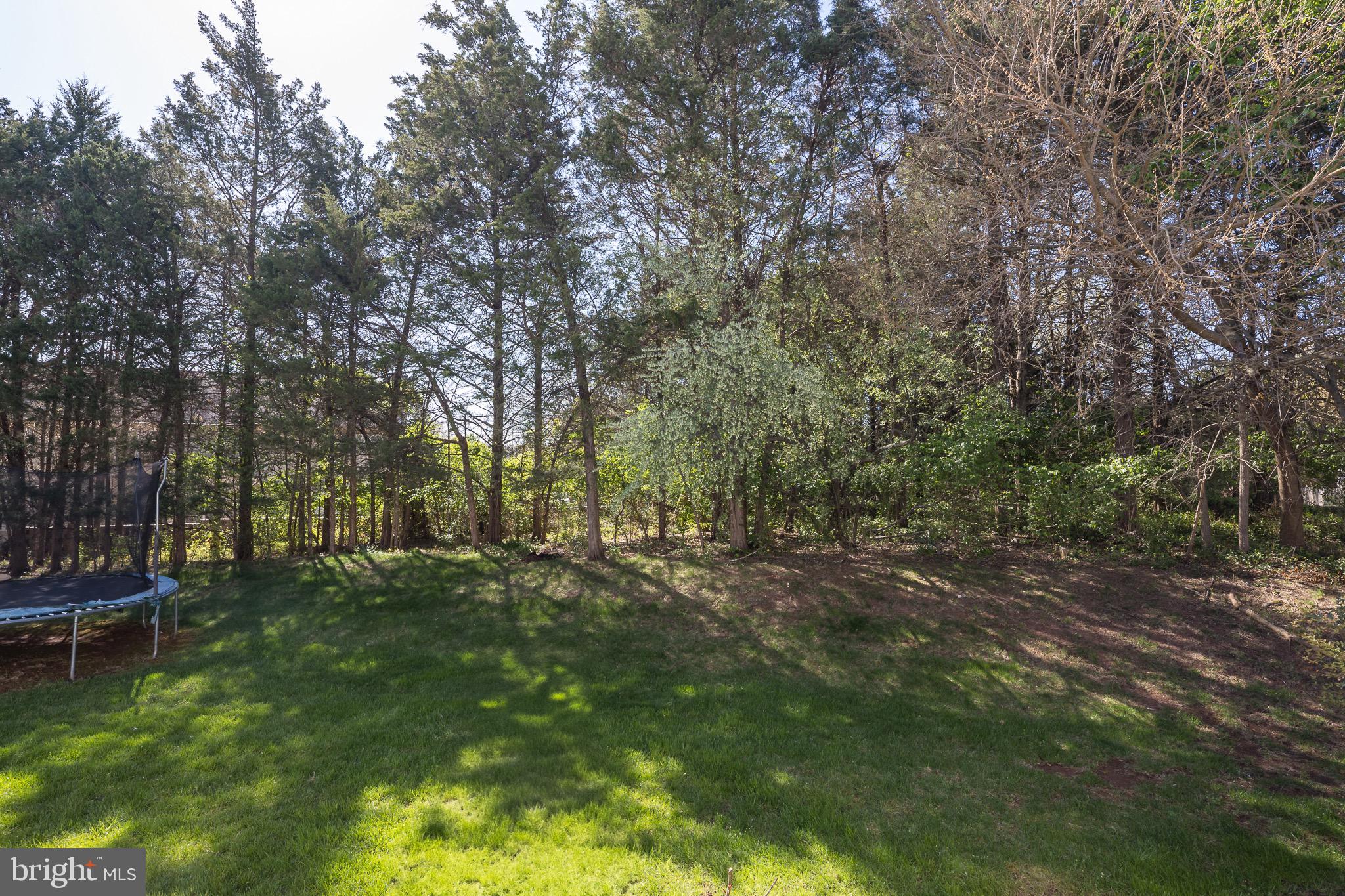 ASHBURN VILLAGE - Residential