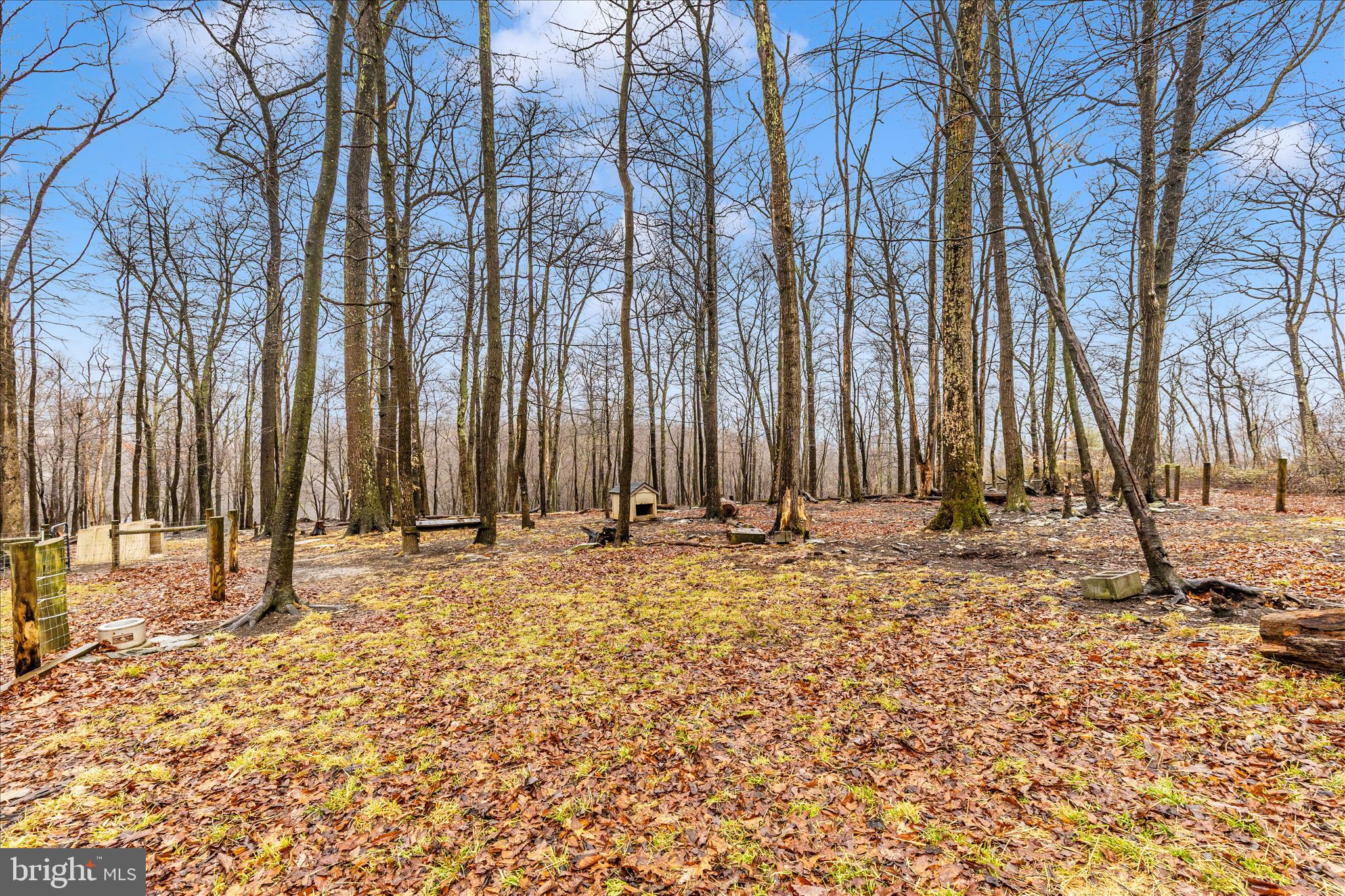 CATOCTIN ACRES - Farm
