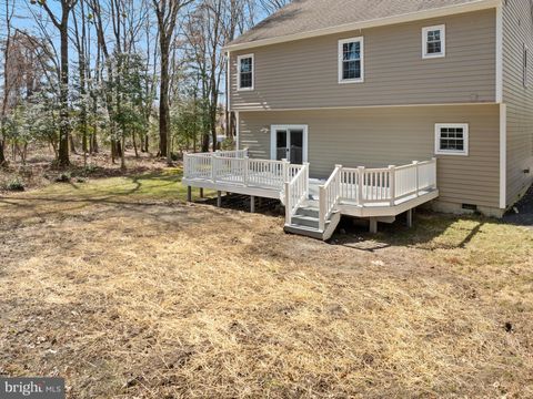 listing image 45