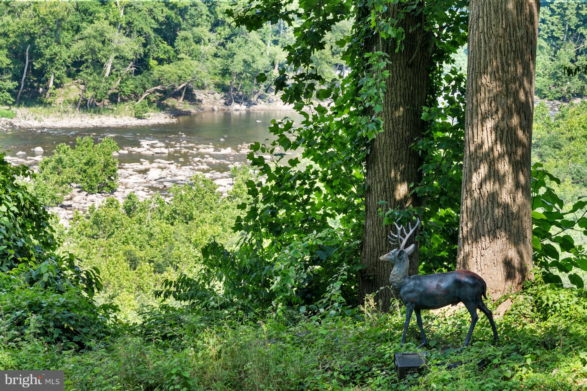 CHAIN BRIDGE - Residential