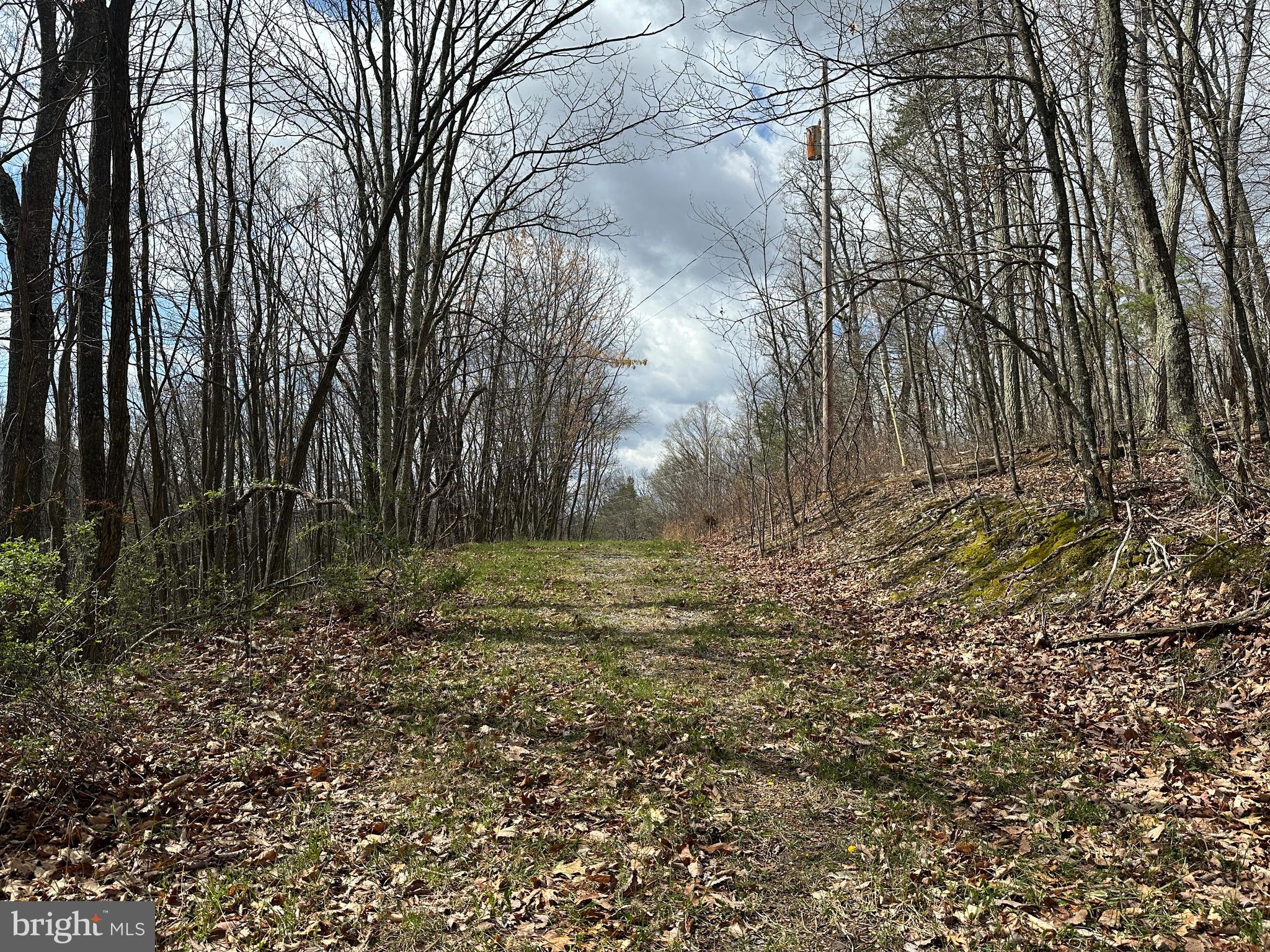 PEACEFUL VALLEY ESTATES - Land