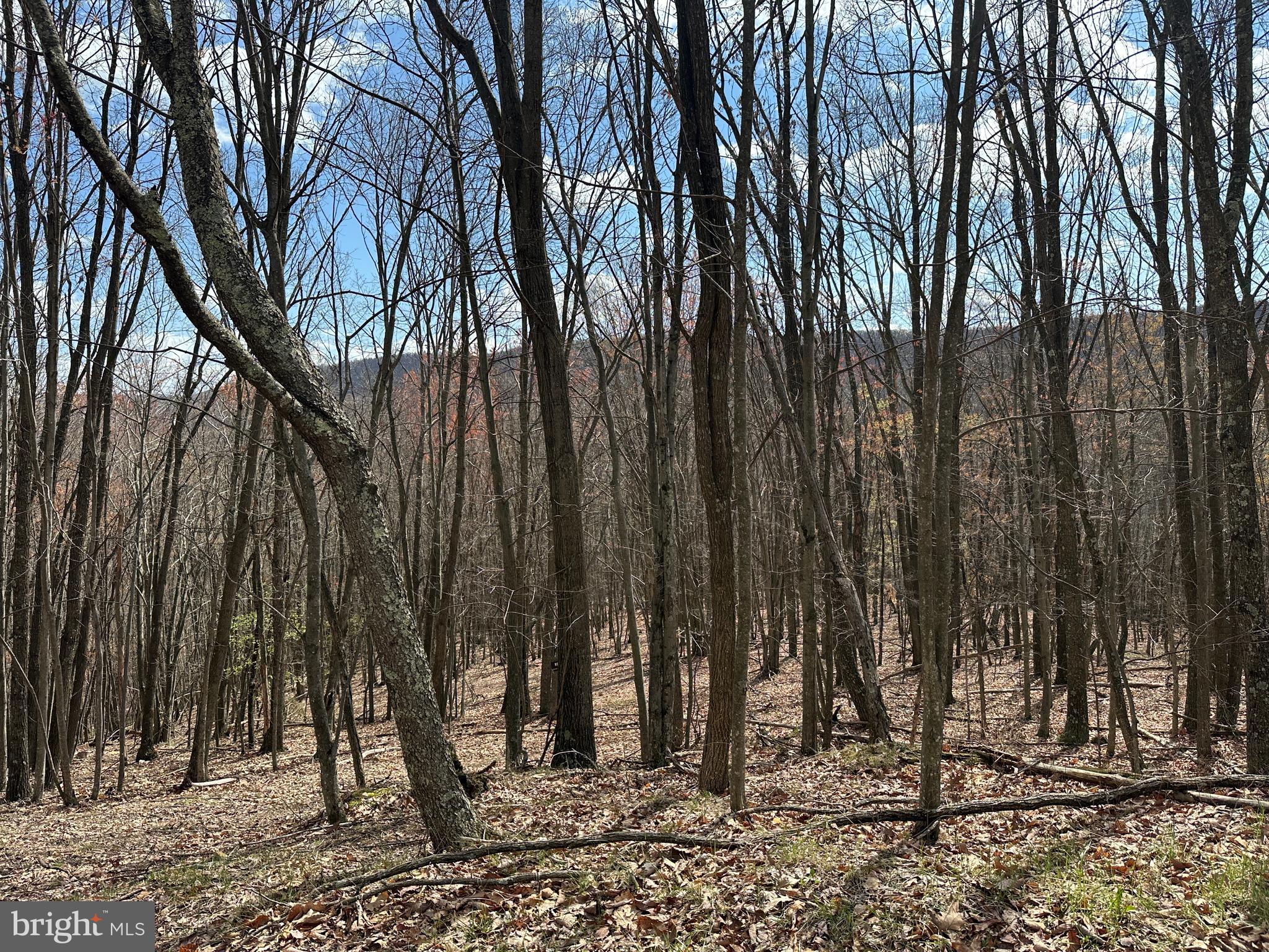 PEACEFUL VALLEY ESTATES - Land