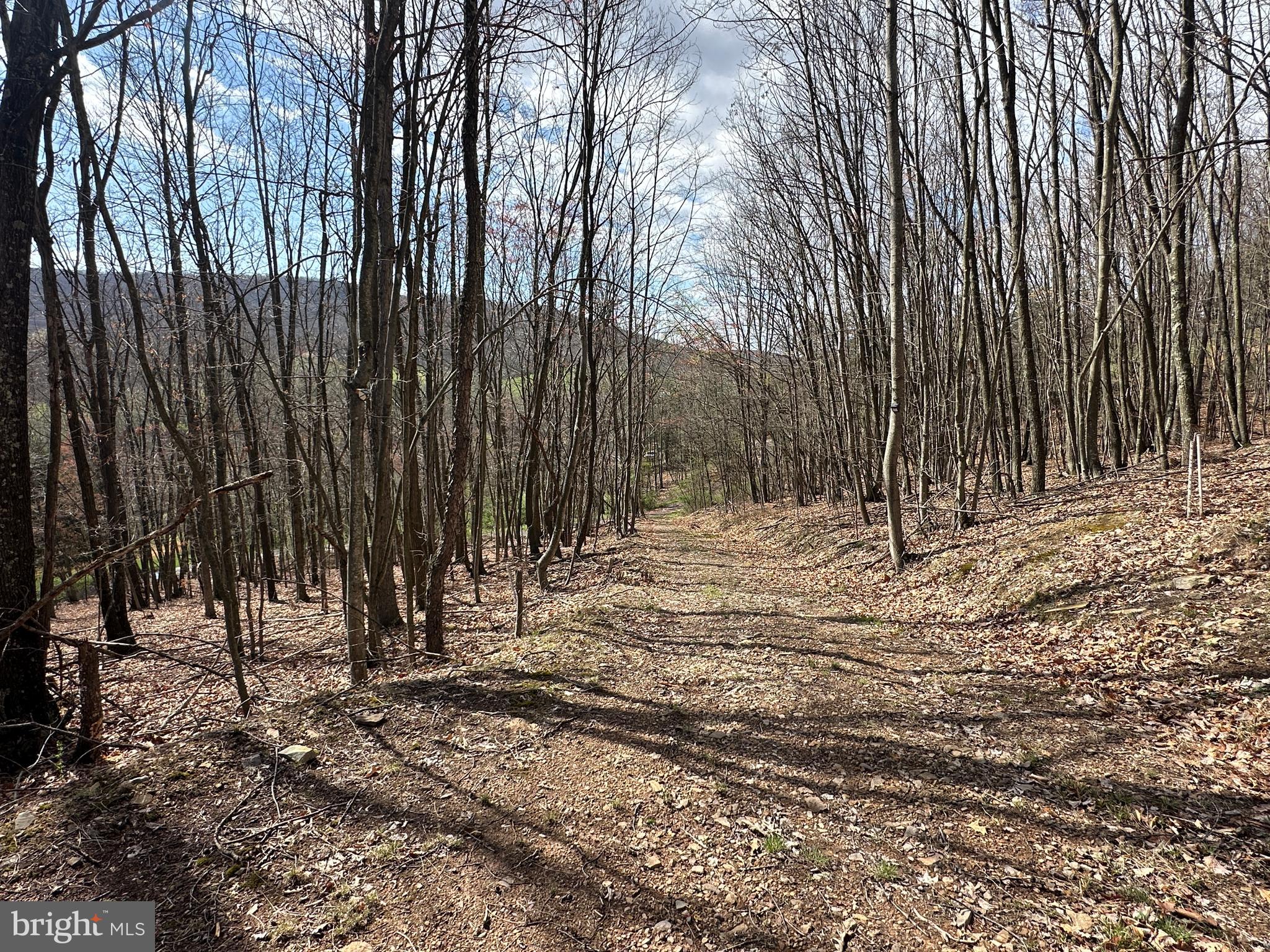 PEACEFUL VALLEY ESTATES - Land