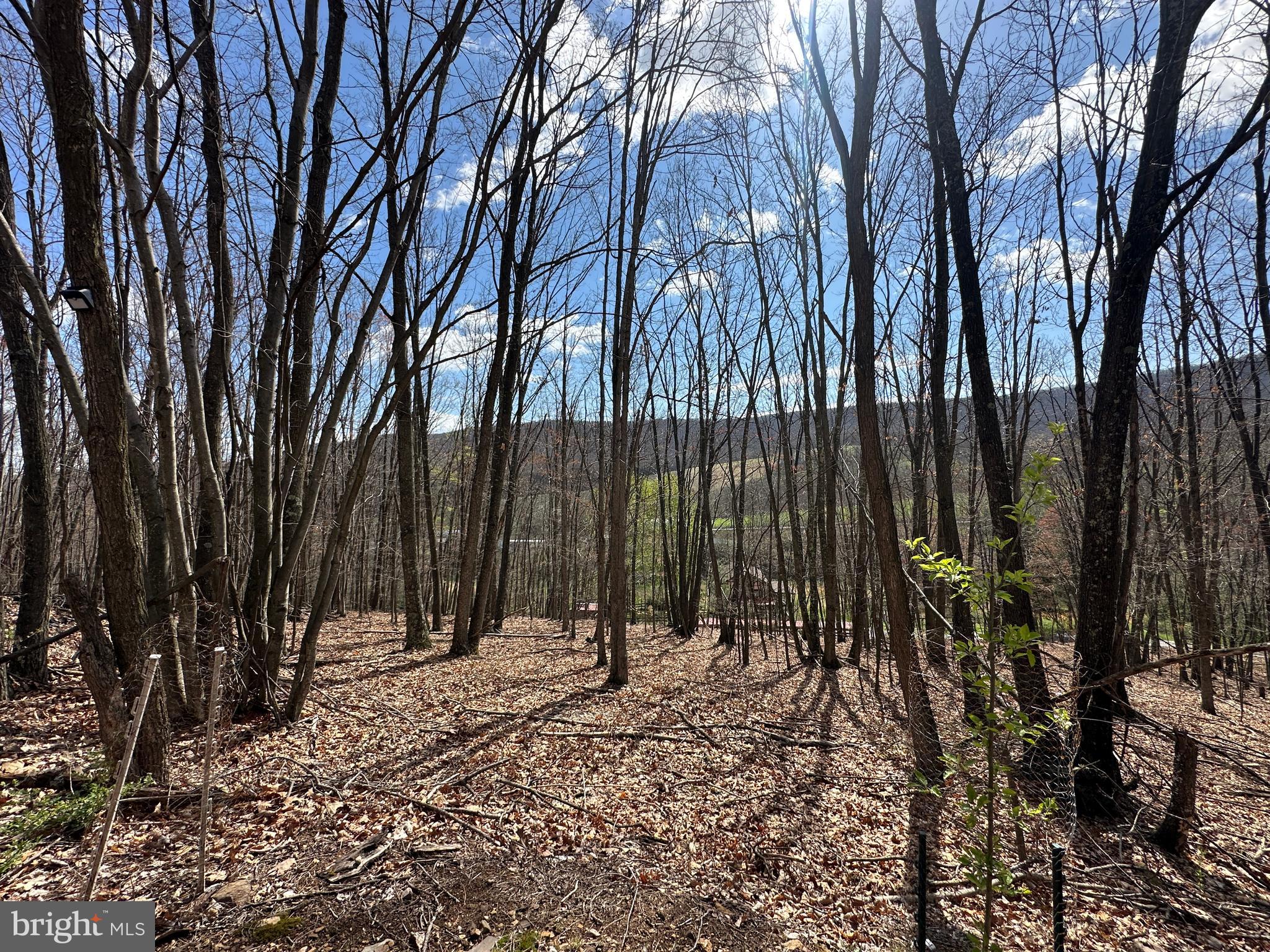 PEACEFUL VALLEY ESTATES - Land