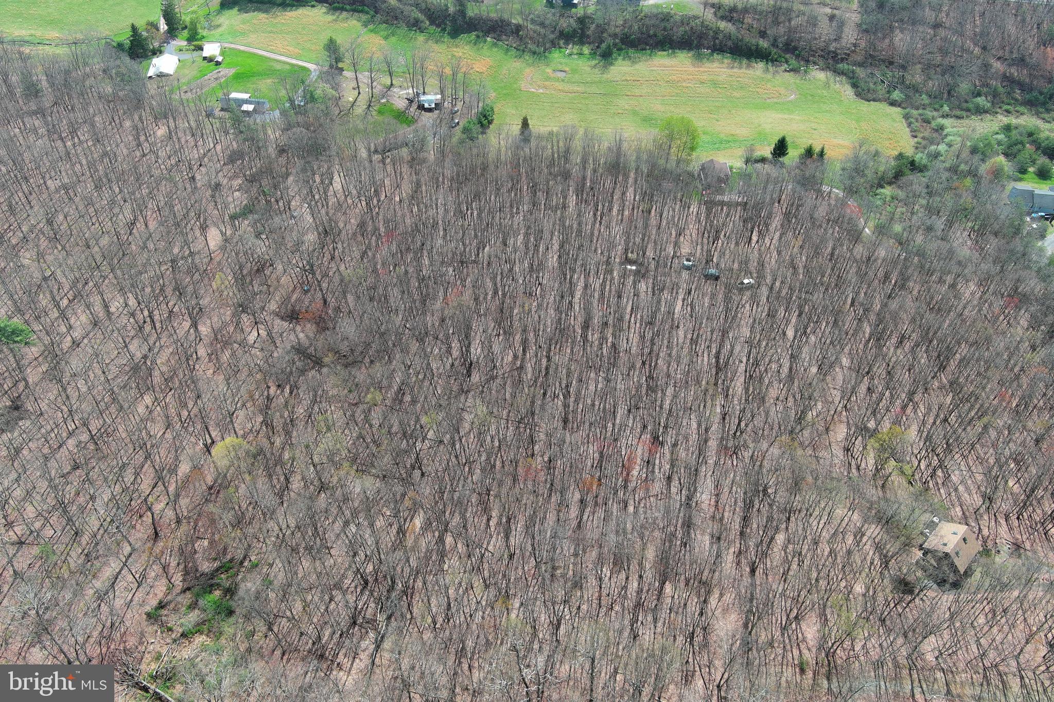 PEACEFUL VALLEY ESTATES - Land