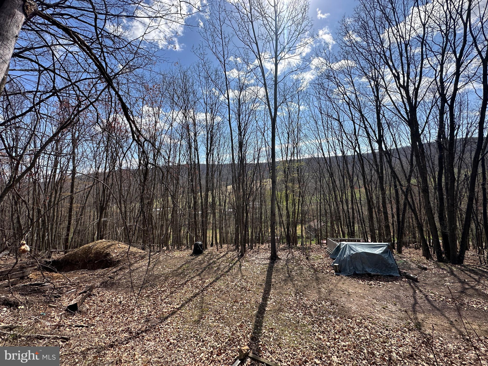 PEACEFUL VALLEY ESTATES - Land