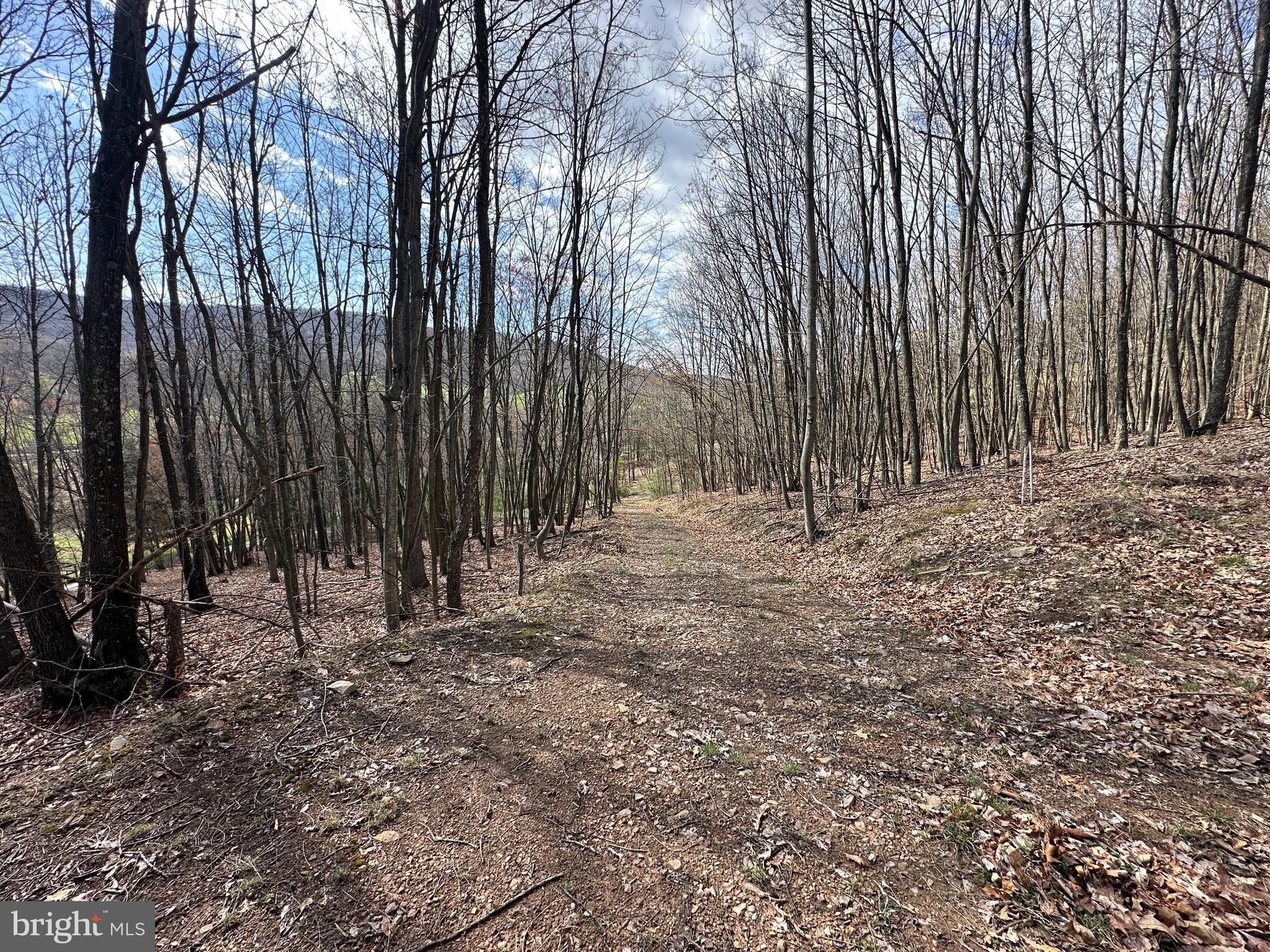 PEACEFUL VALLEY ESTATES - Land