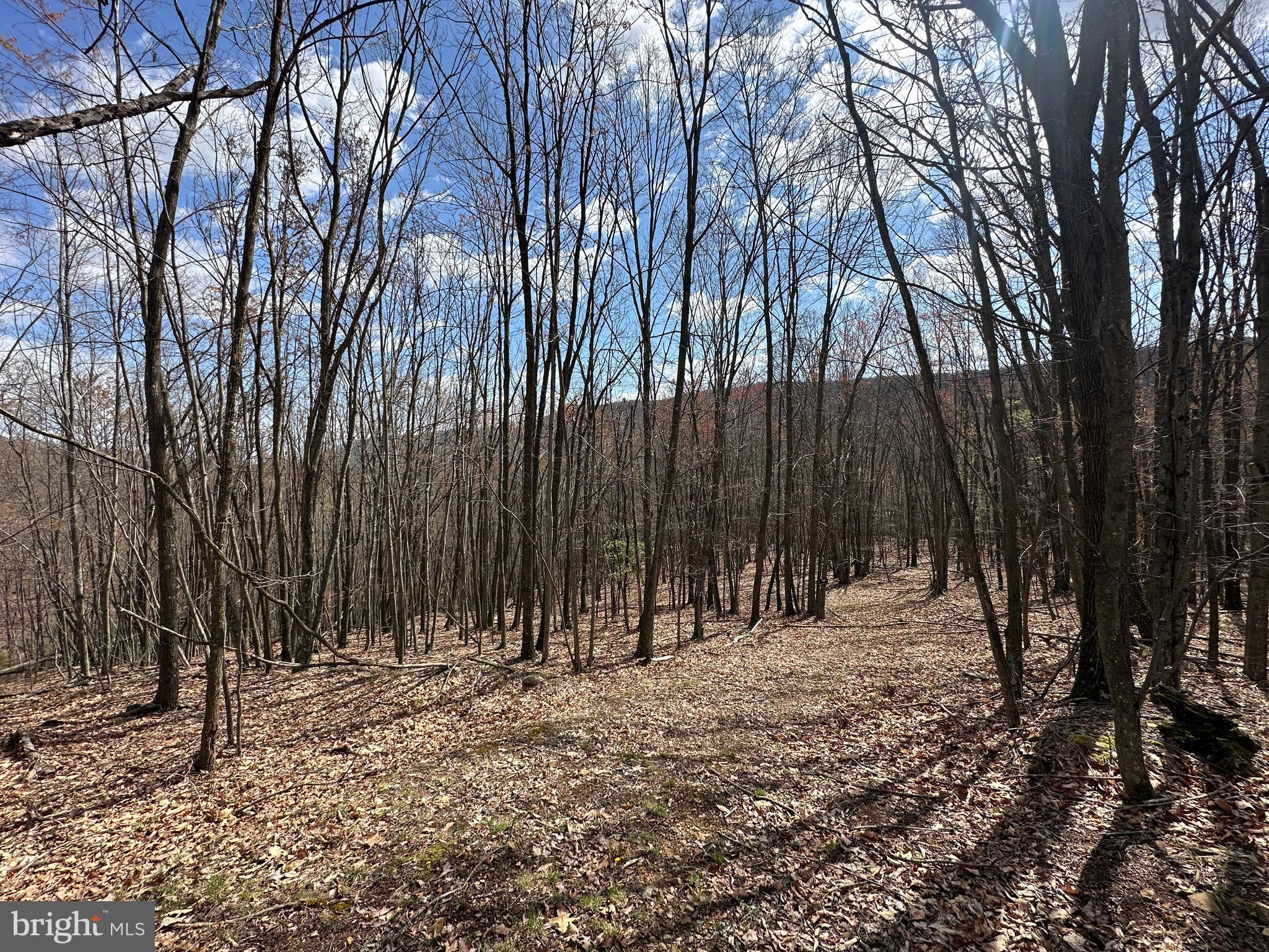 PEACEFUL VALLEY ESTATES - Land