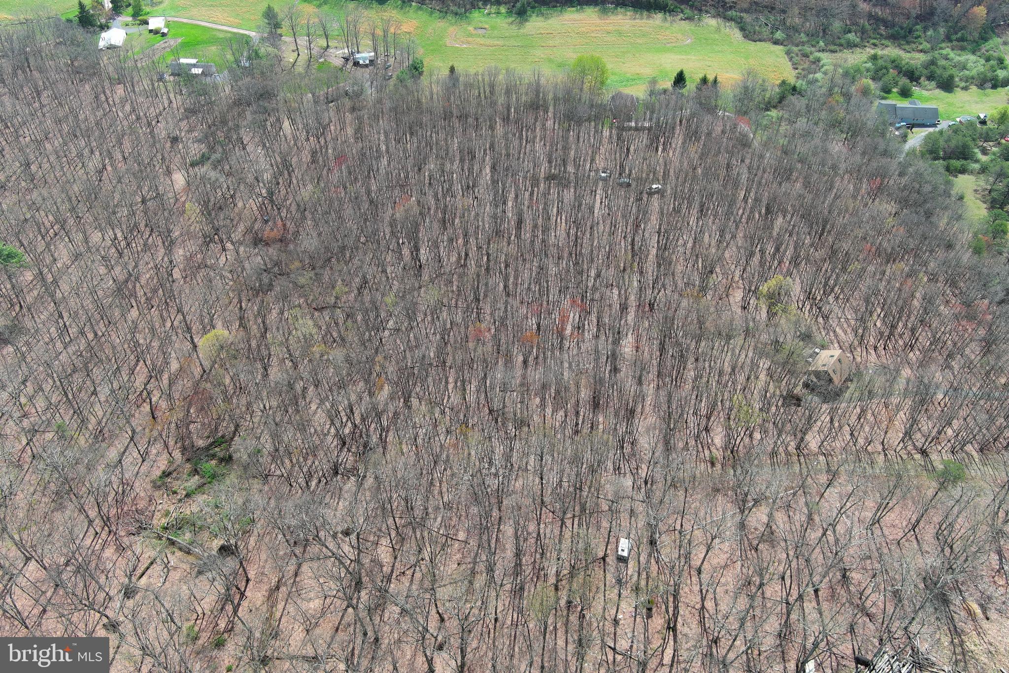 PEACEFUL VALLEY ESTATES - Land