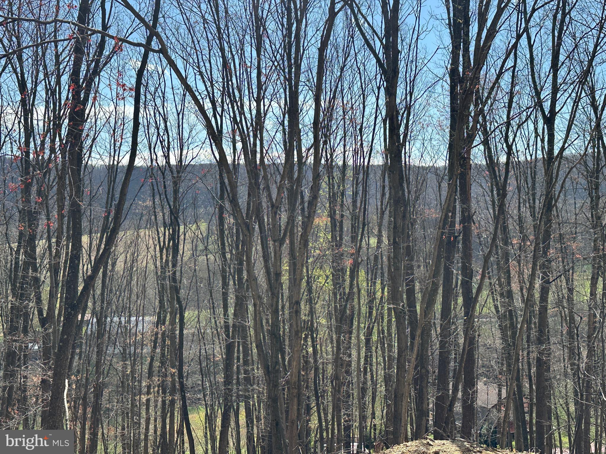 PEACEFUL VALLEY ESTATES - Land