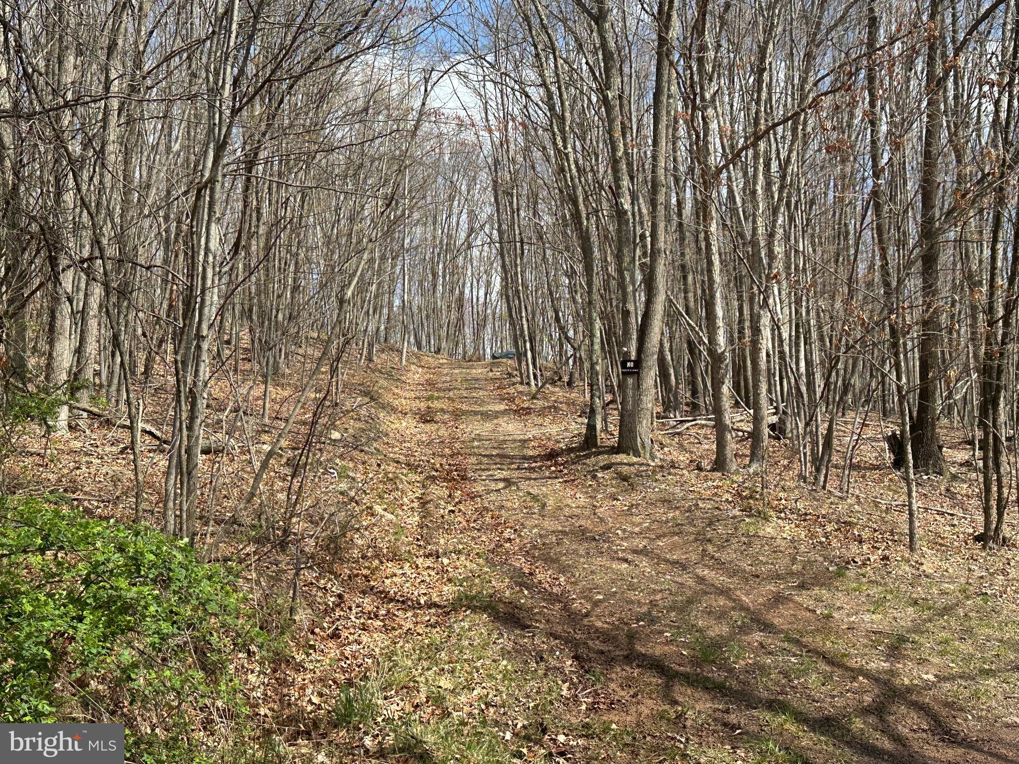 PEACEFUL VALLEY ESTATES - Land