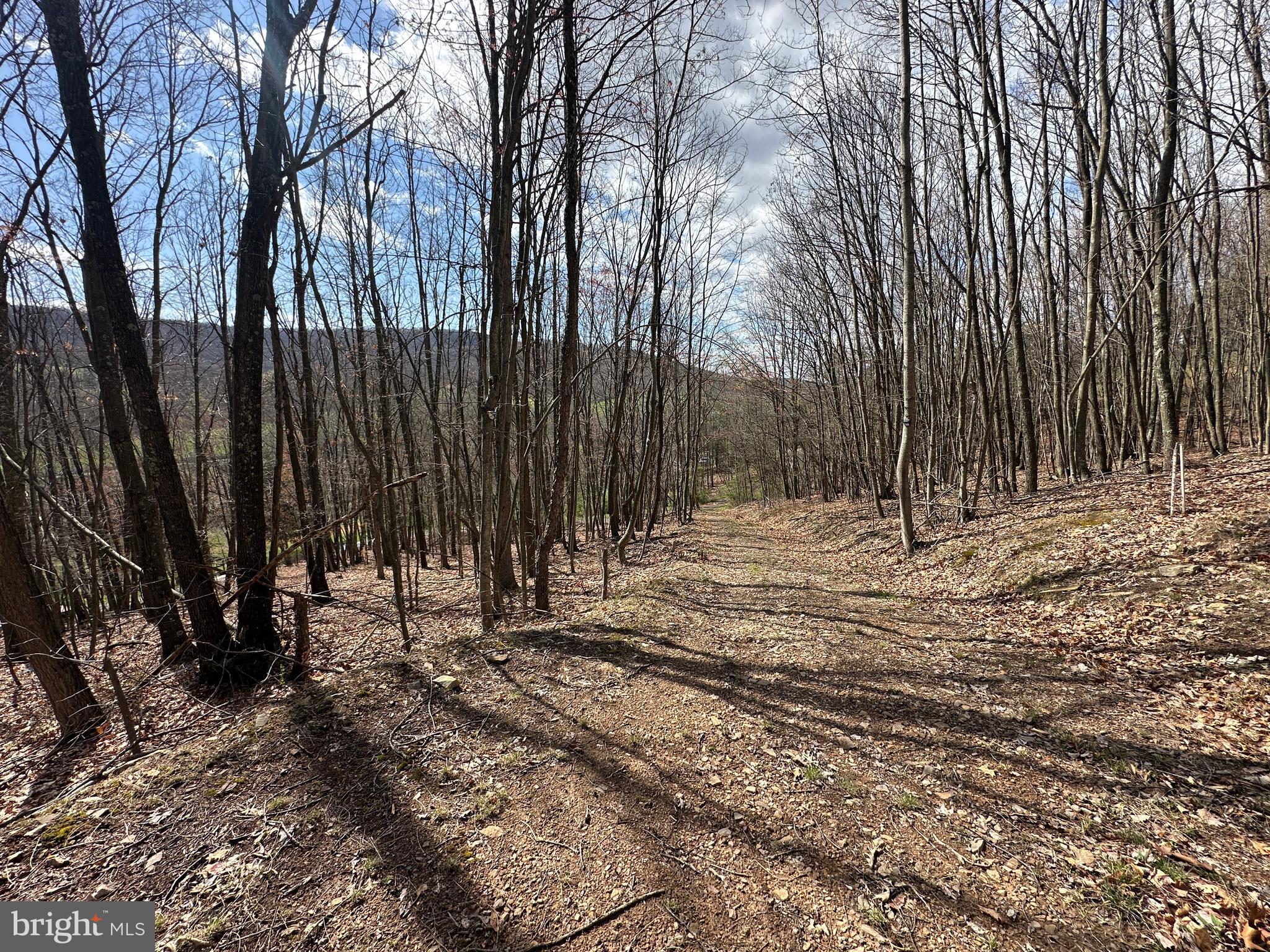 PEACEFUL VALLEY ESTATES - Land