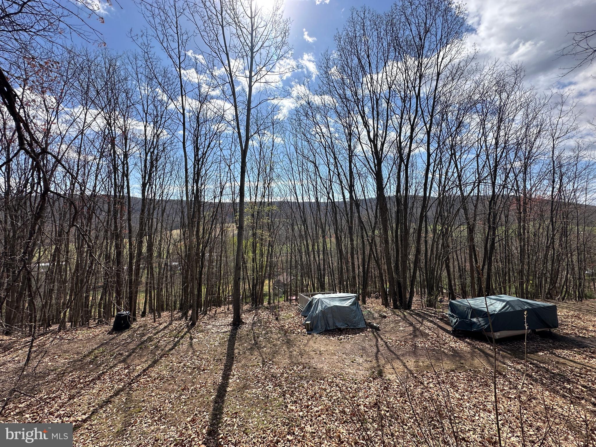 PEACEFUL VALLEY ESTATES - Land