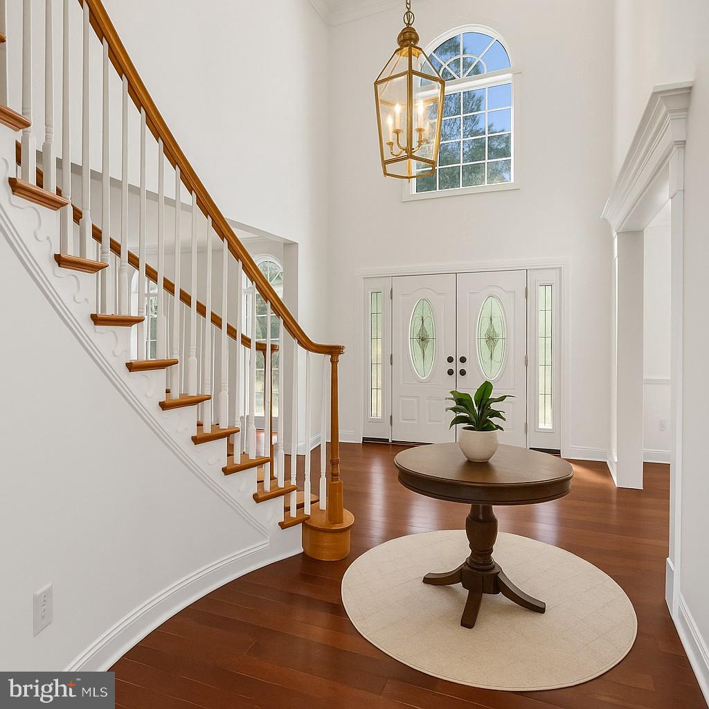 289 DRESSAGE COURT