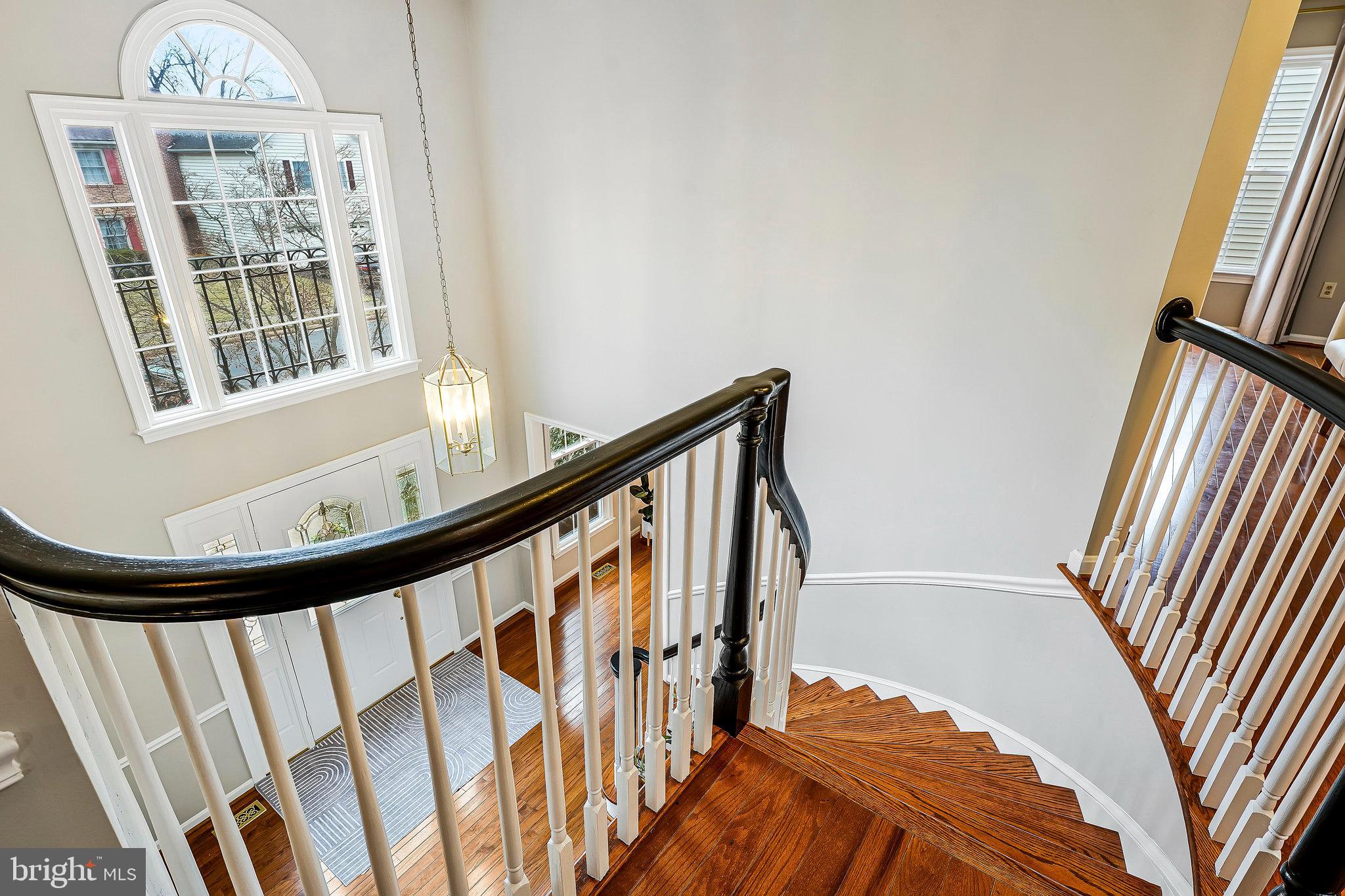 13435 BLACK GUM COURT
