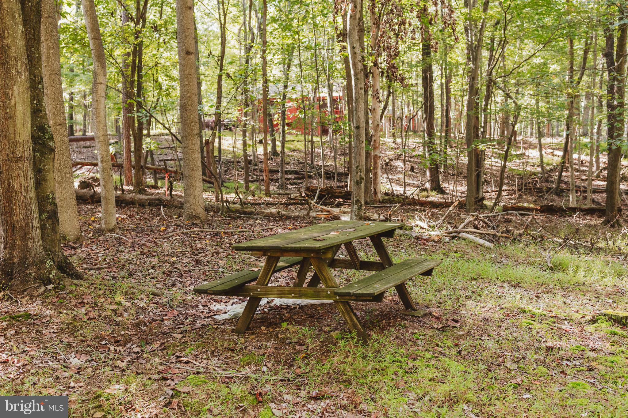 THE WOODS - Residential