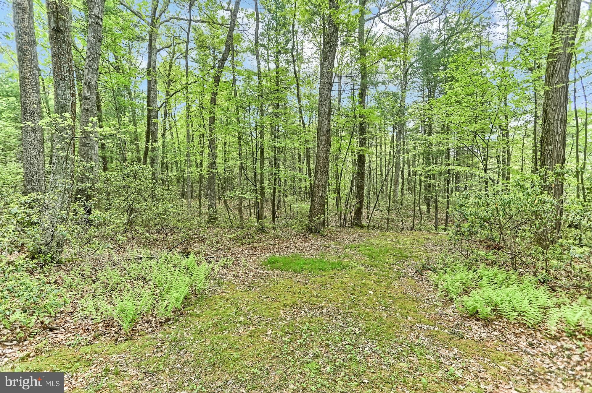 BIGLERVILLE - Residential