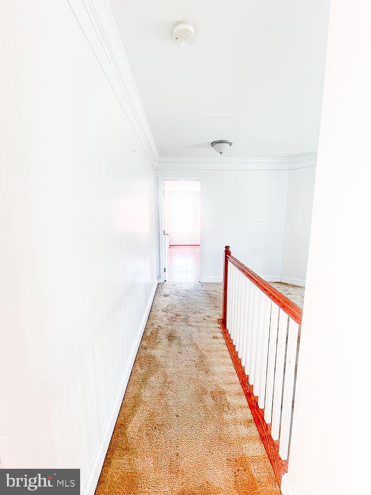 CATTAIL CROSSING - Residential