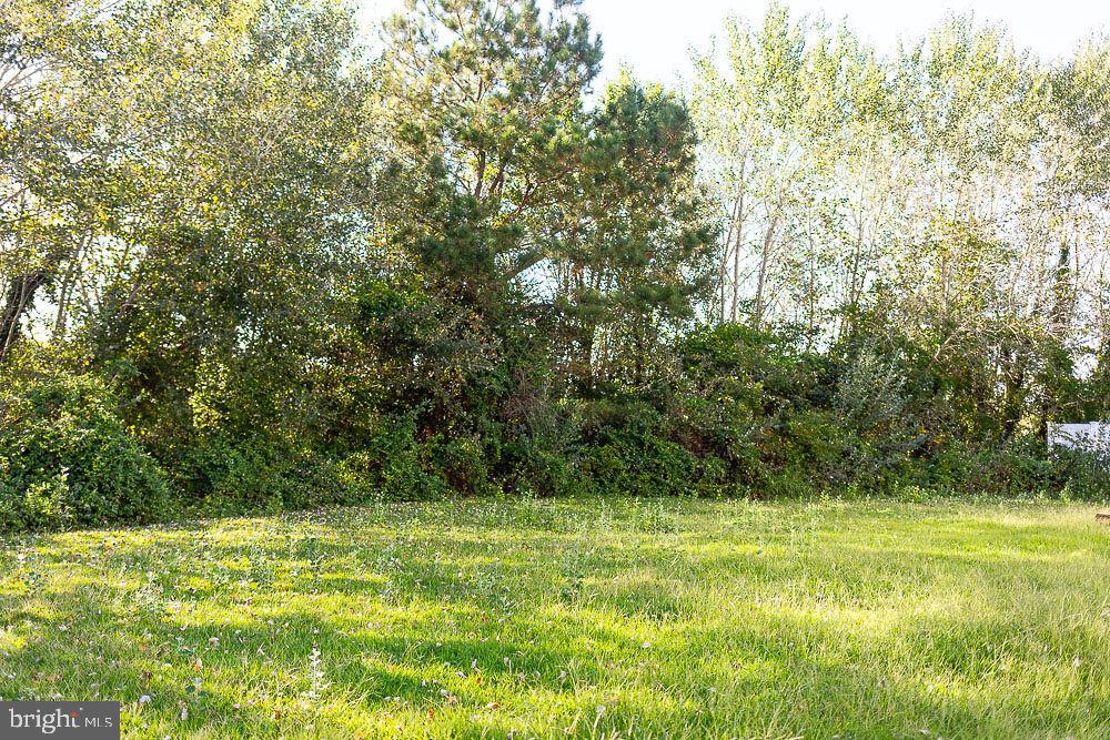 CATTAIL CROSSING - Residential