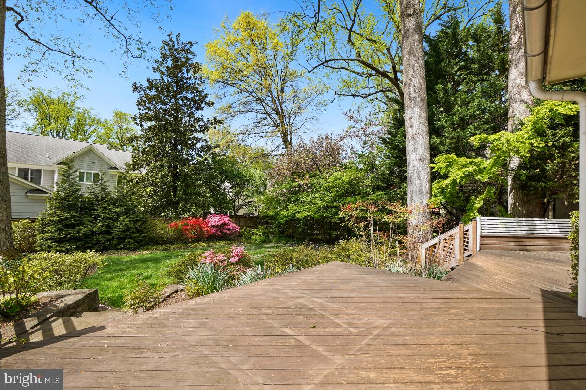 GREENWICH FOREST - Residential