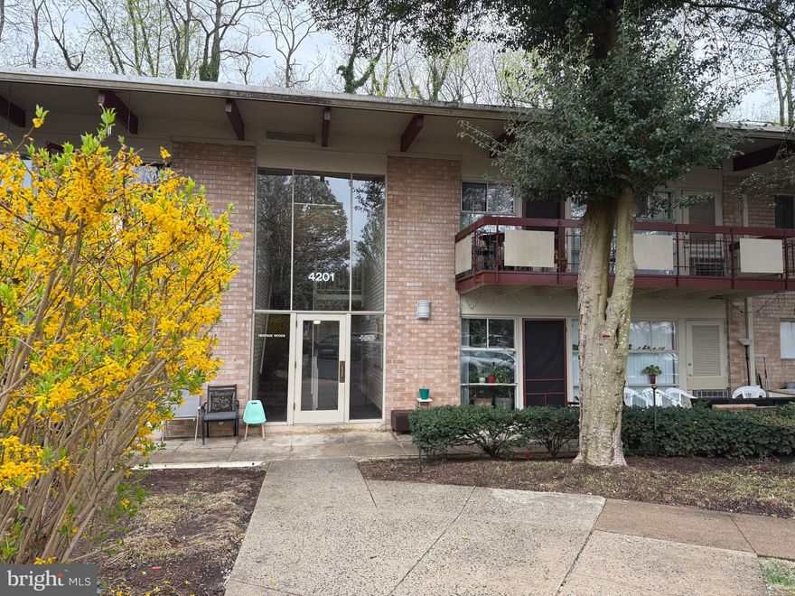 Welcome to 4201 Americana Drive #11, a great 1 bedroom plus a den ground floor condo backing to trees in Annandale inside the Beltway. It has been freshly painted and there are new luxury vinyl plank floors everywhere except for the bath. Lots of windows and contemporary light fixtures make this home light, bright and cheerful. There’s an open floor plan with every window looking out over a treed landscape. Step out from the living room to a long patio perfect for grilling, entertaining or just relaxing. There is also a walking path. The den/bonus area could be turned into another bedroom. It has a closet, ceiling fan and double window. In the hallway there is a large storage area with shelving. The kitchen has a gas stove, and built-in shelves. You’ll see a large window, a ceiling fan and ample closet space in the bedroom. There’s a new toilet in the bathroom. This unit is across the hall from the laundry room for your convenience. Water, sewer,  gas, trash, snow removal and the pool are included in the condo fee. This home is super-close to 495, shopping and restaurants!