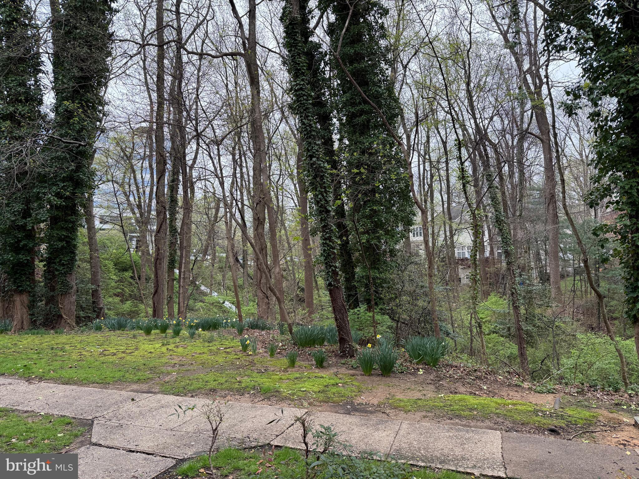 FAIRFAX HERITAGE - Residential