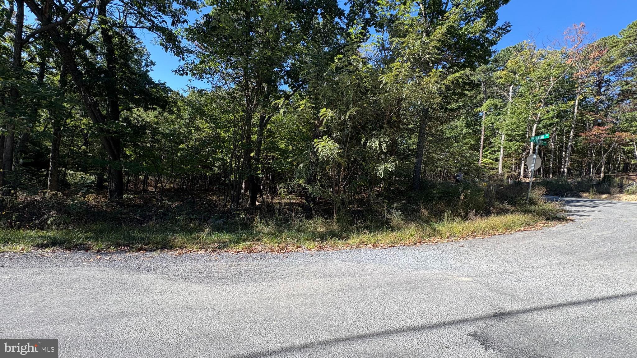 Lot 15, 16, 17, 18 GATLING DR