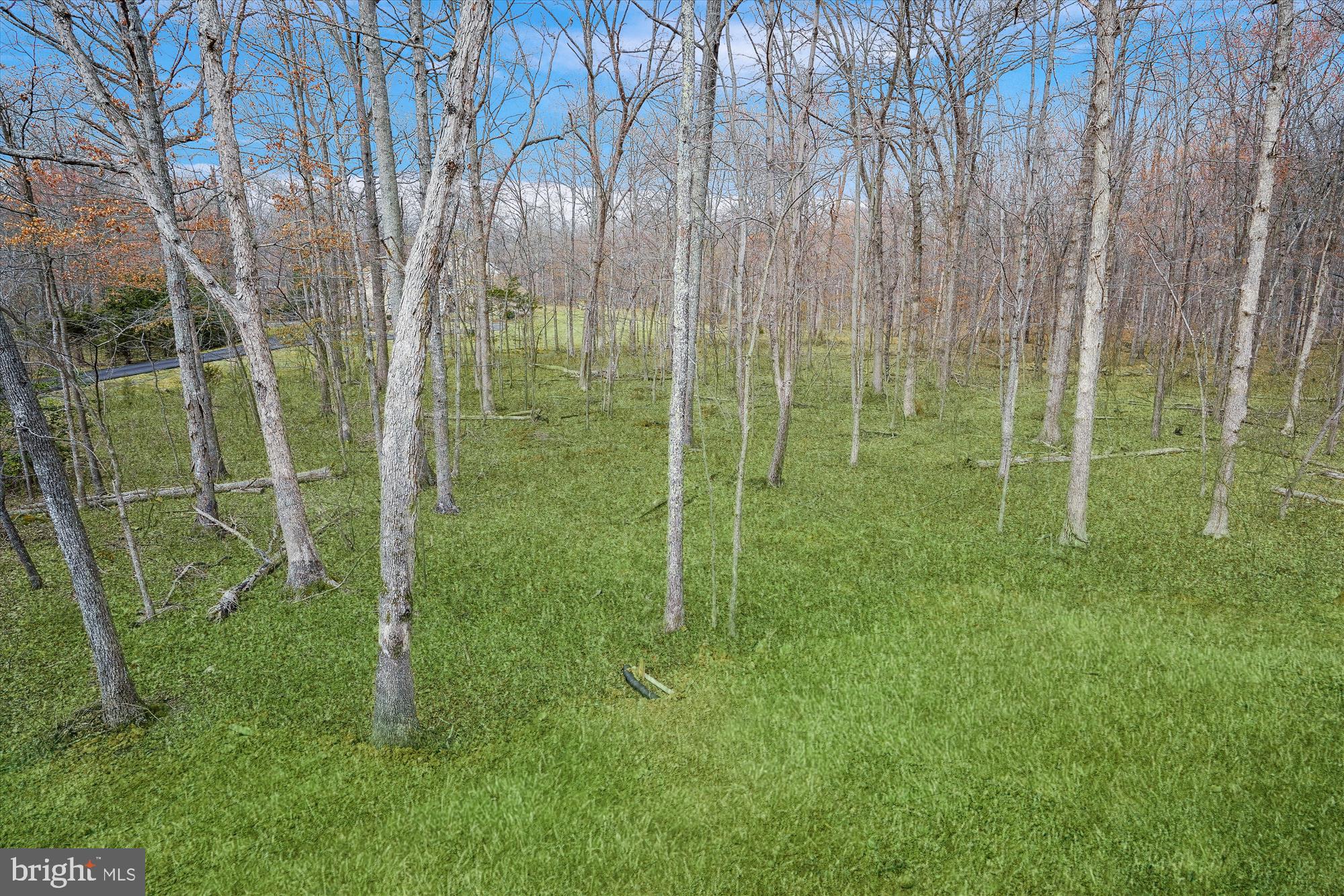 MOUNTAIN FARM - Residential