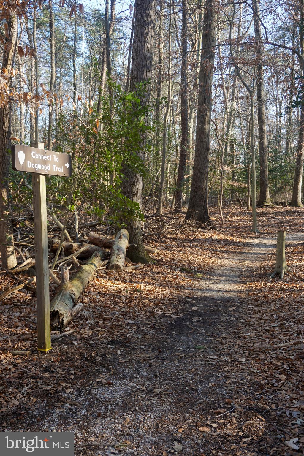WESTCHESTER PARK - Residential