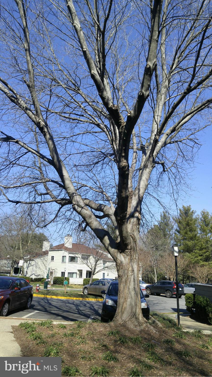 VILLARIDGE - Residential