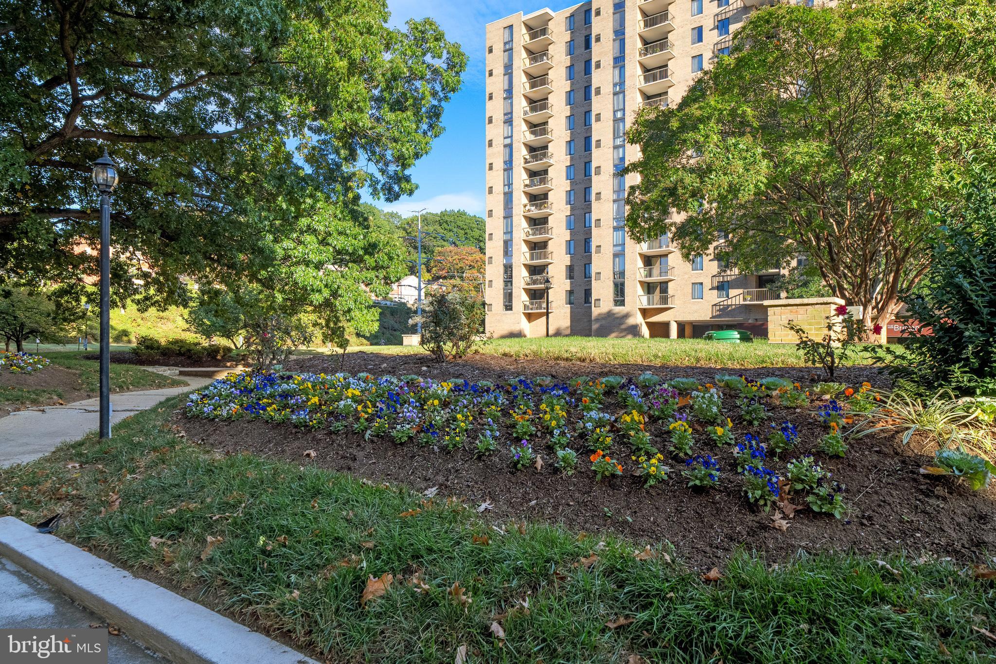 THE CARLTON - Residential