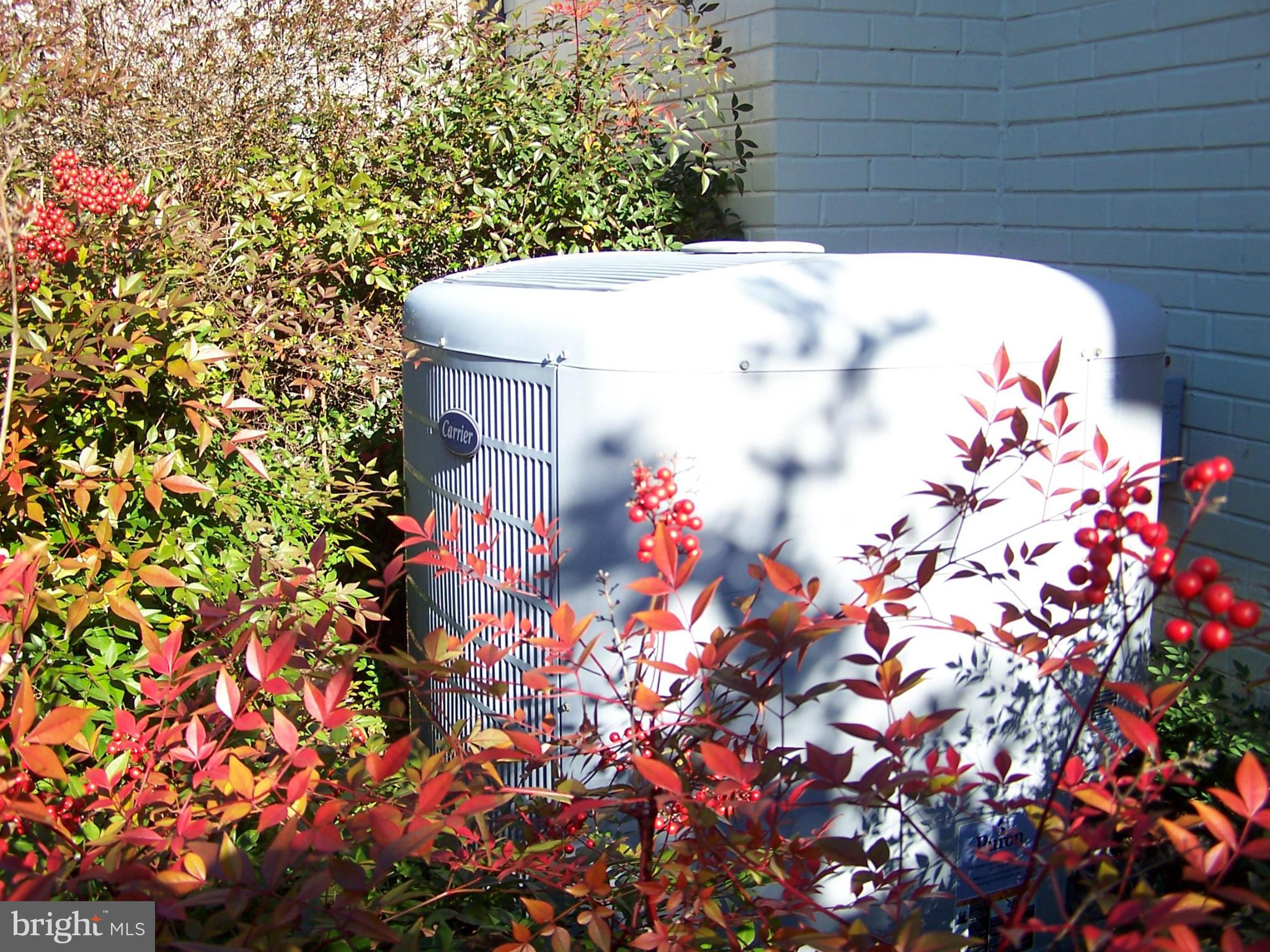 RAYMONDALE - Residential