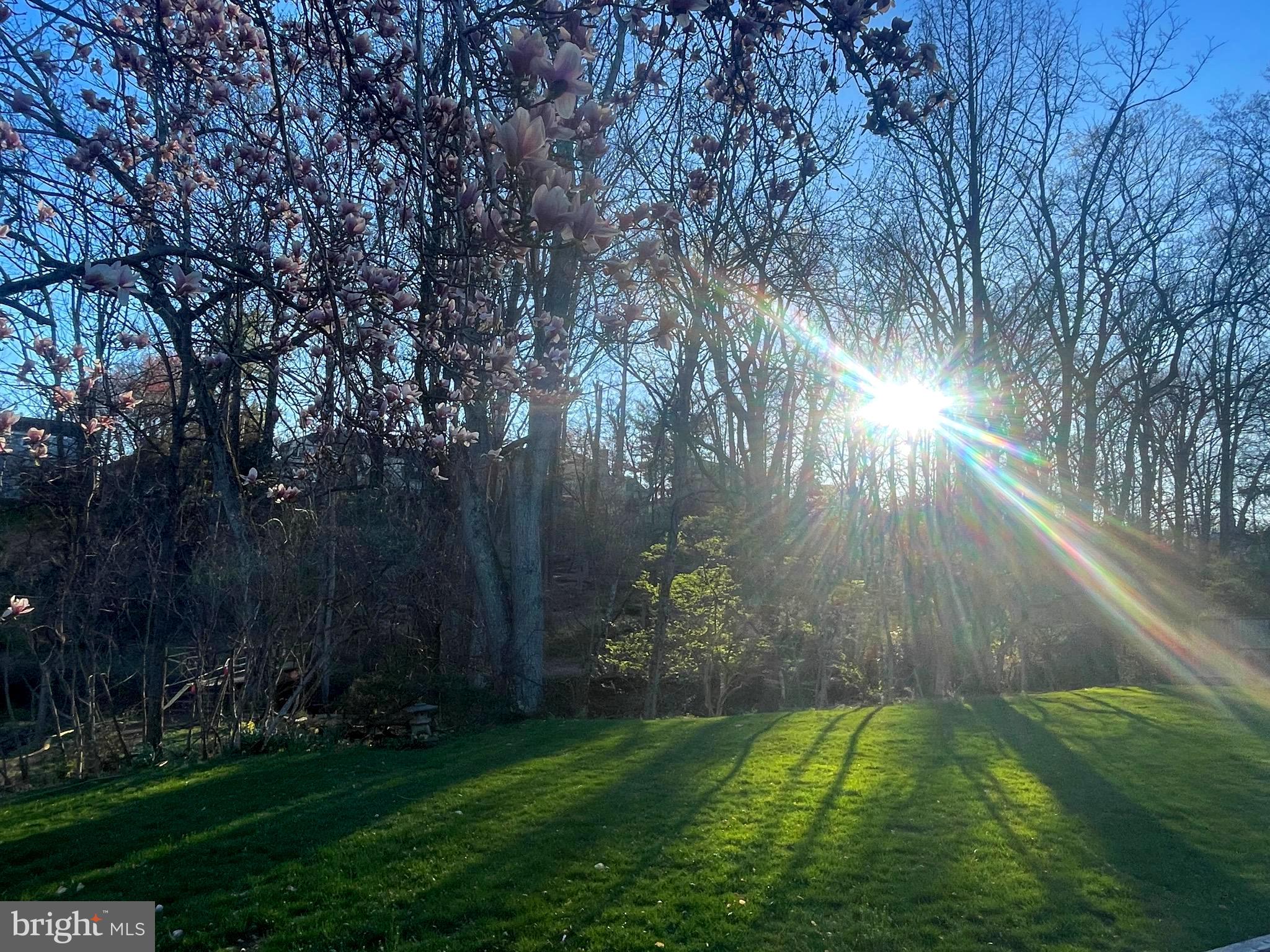 FOX HILLS - Residential