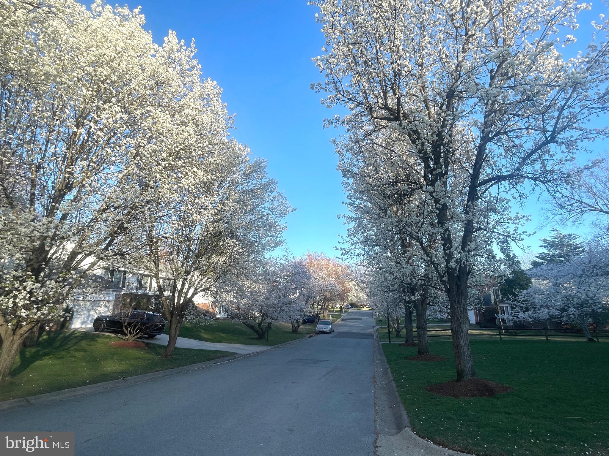 FOX HILLS - Residential