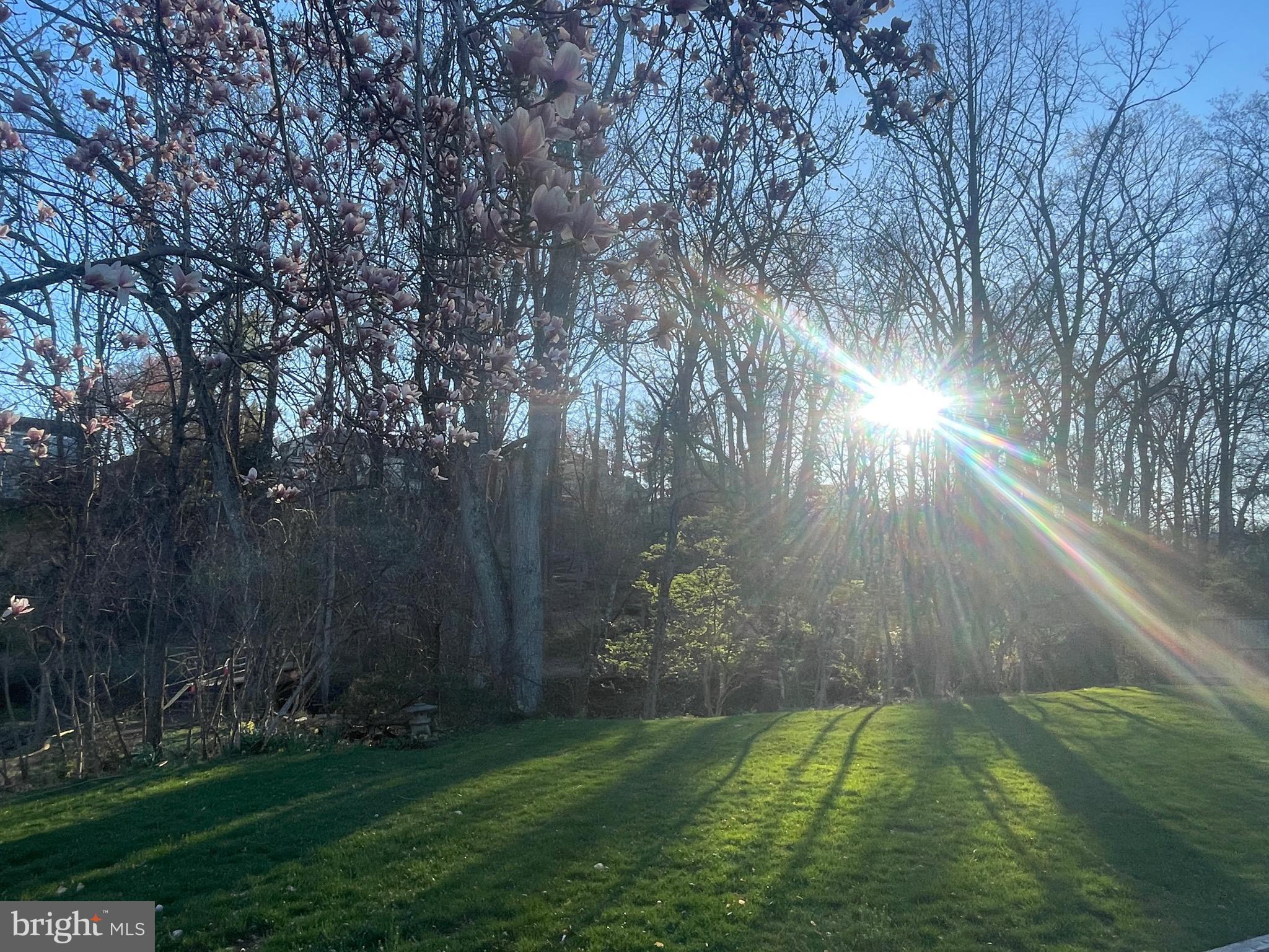 FOX HILLS - Residential